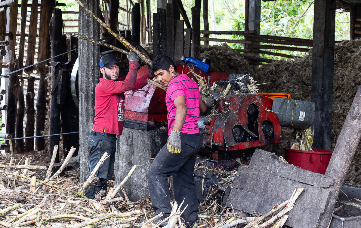 reportage la fabbrica dello zucchero 2
