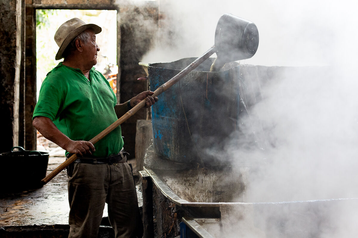 reportage la fabbrica dello zucchero 4