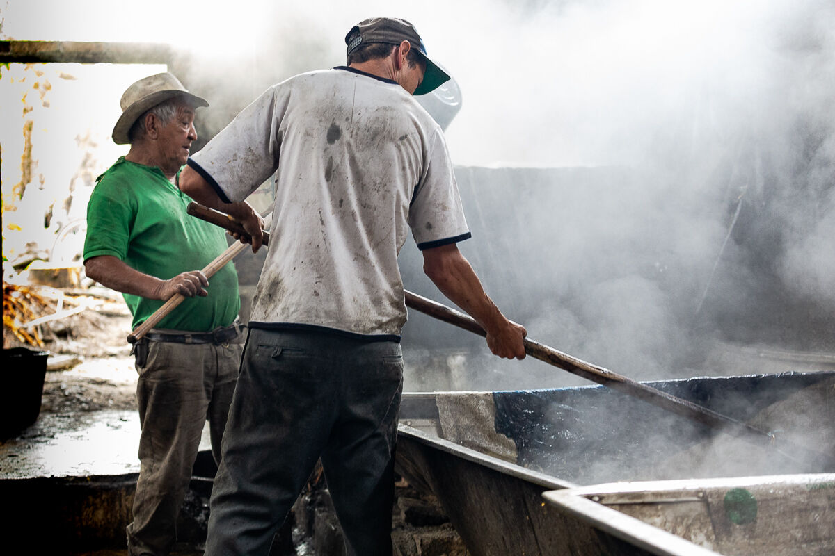 reportage la fabbrica dello zucchero 5
