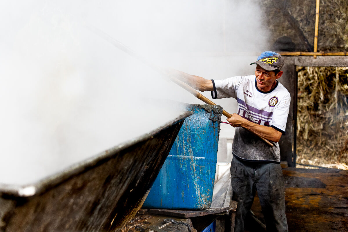 reportage la fabbrica dello zucchero 6