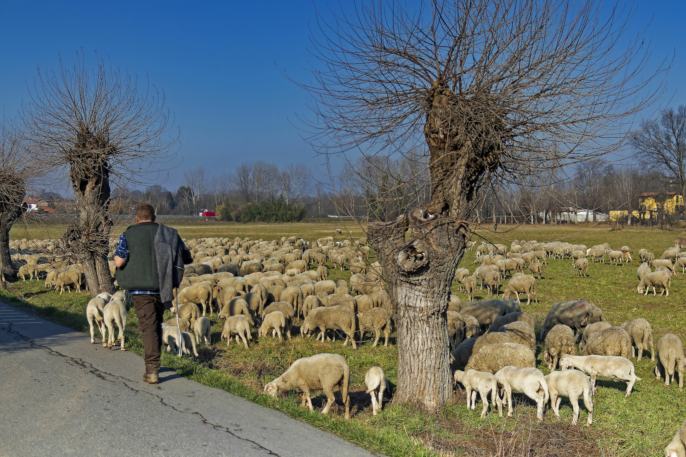 "Lunga è la strada, stretta è la via&quot...