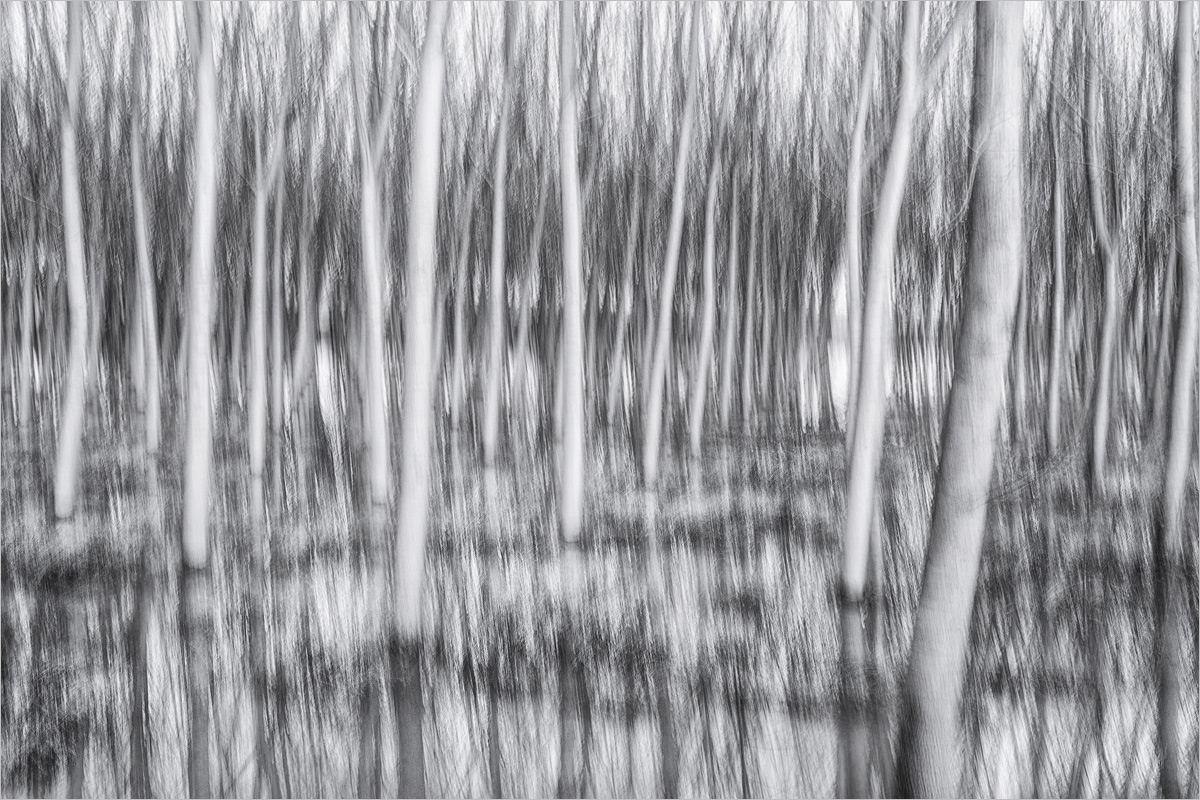Drafted Wood