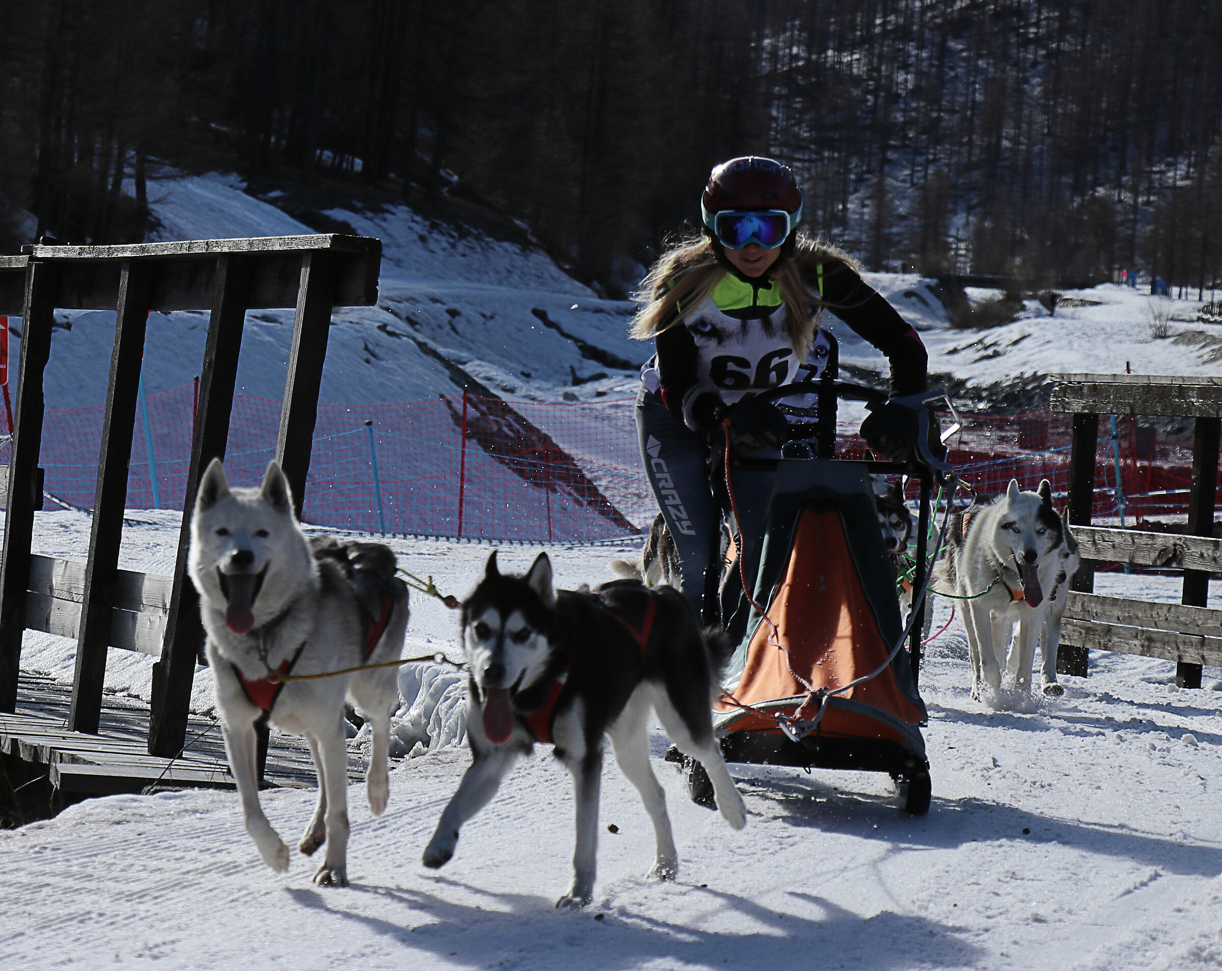 2 campionato europeo di sleedog a pragelato