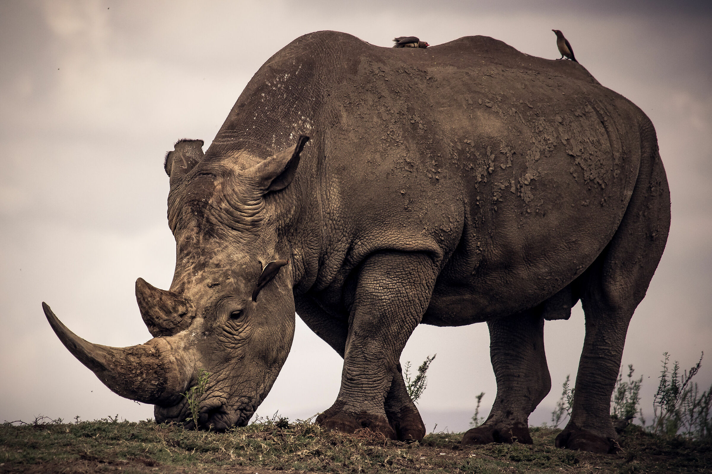 Sempre a mangiare oohh