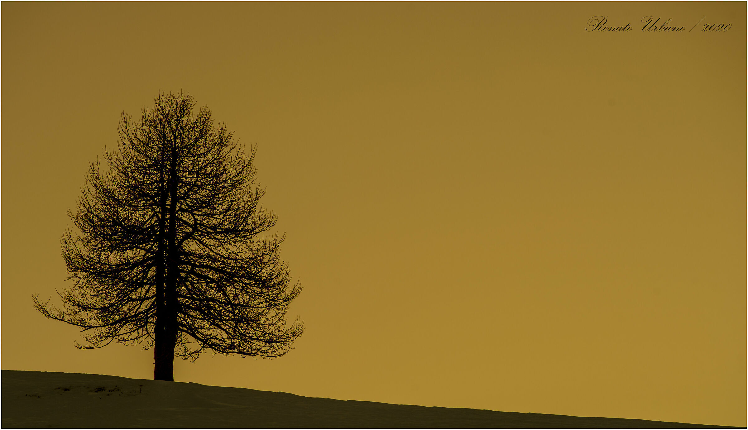 Like a sentinel at sunset