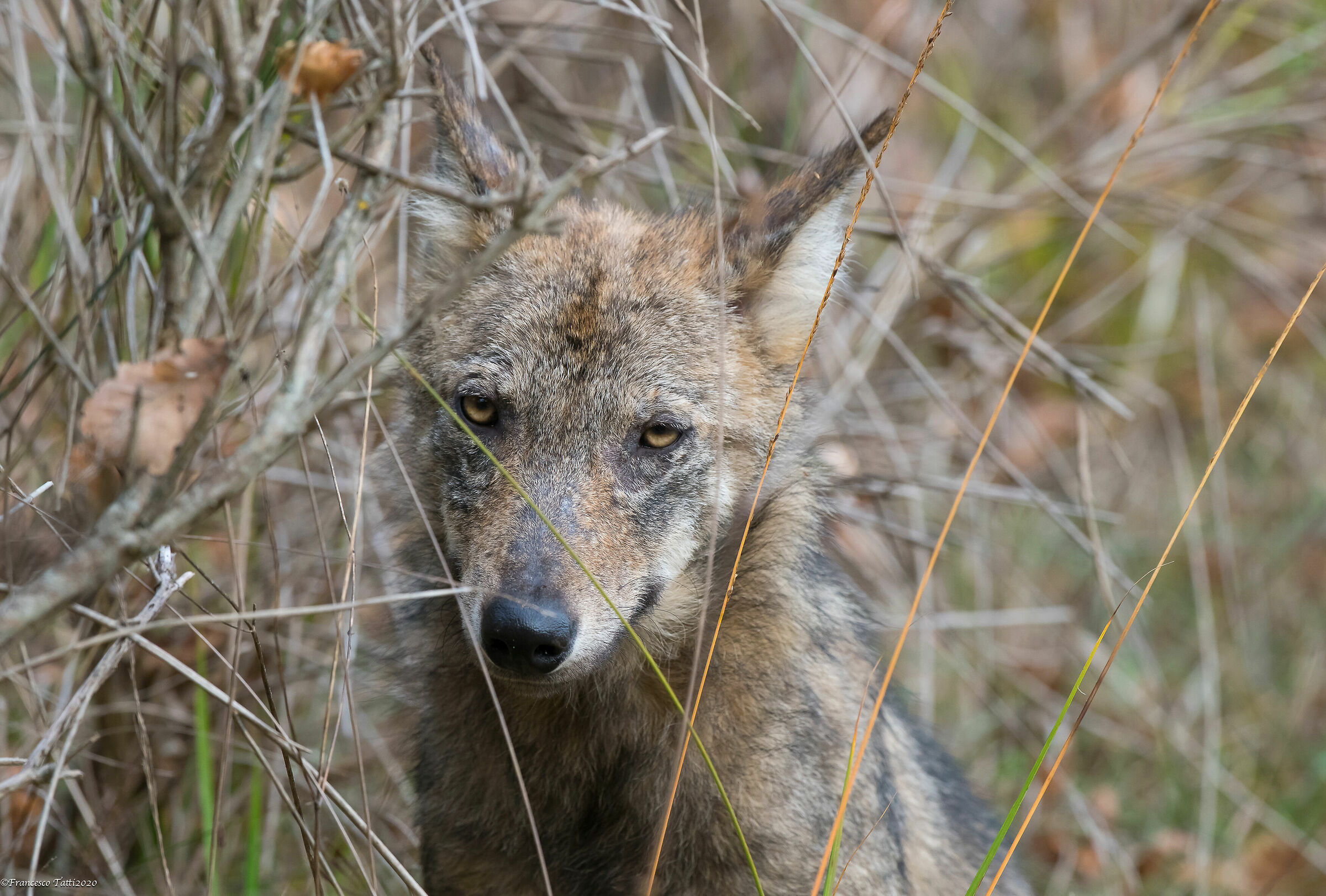 ... but we weren't supposed to see each other anymore?!