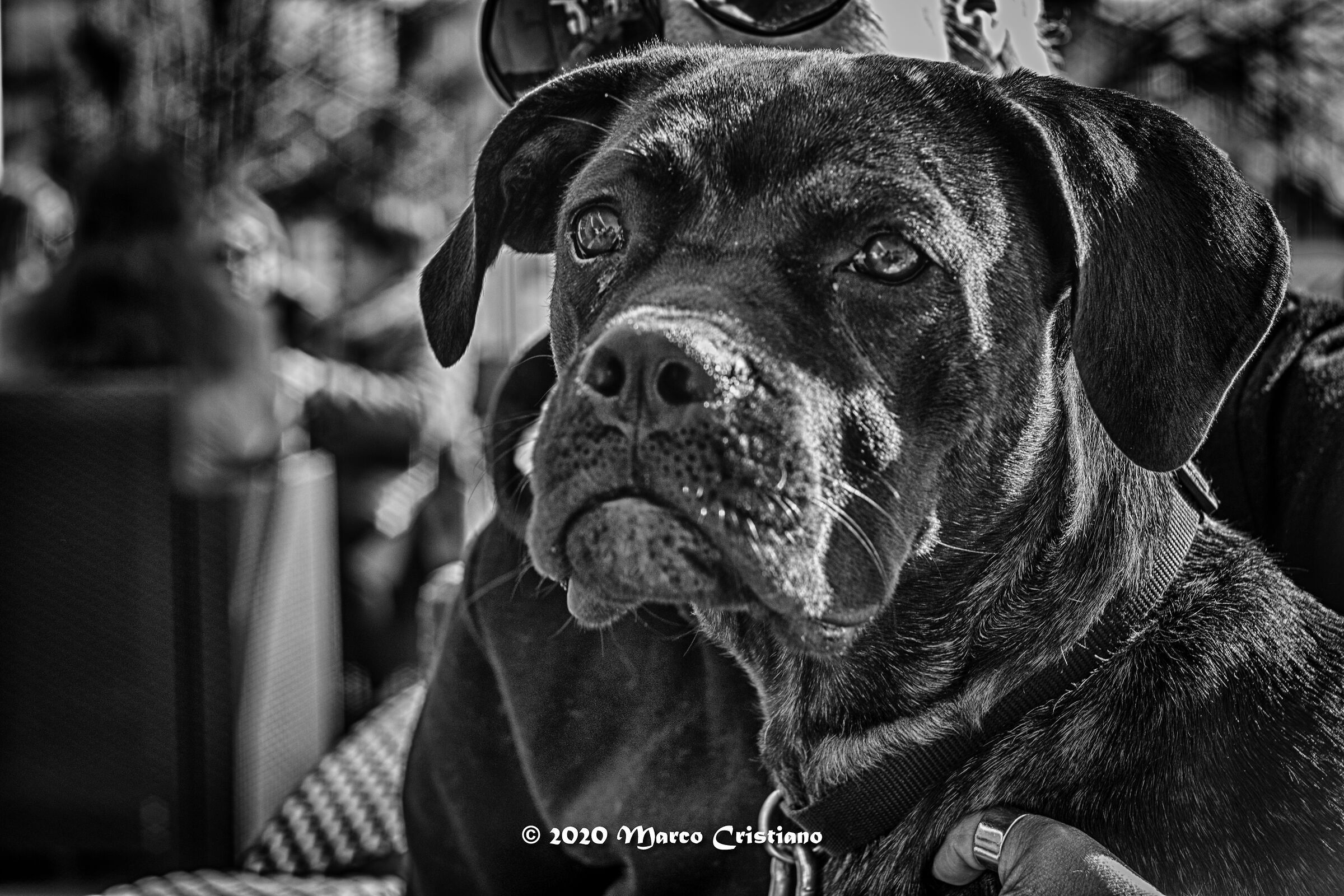 / months of power...