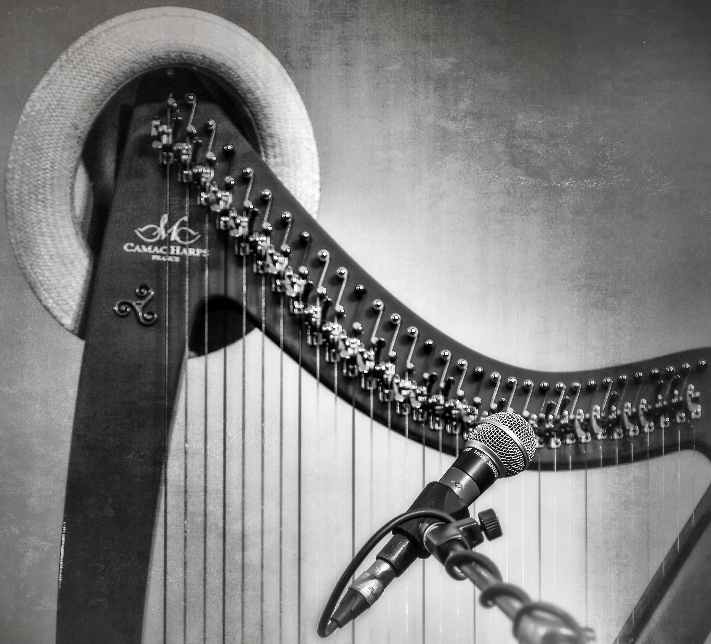Harp