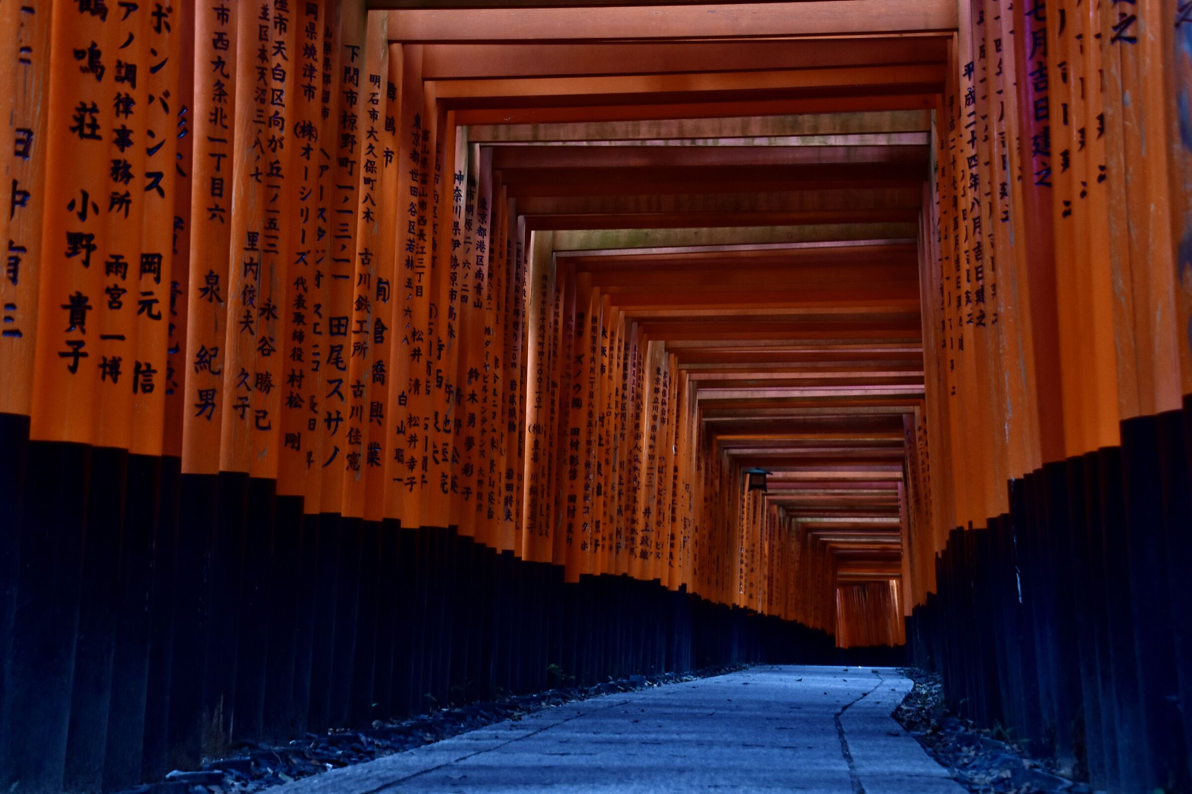 5:00am, Fushimi Inari, Kyoto