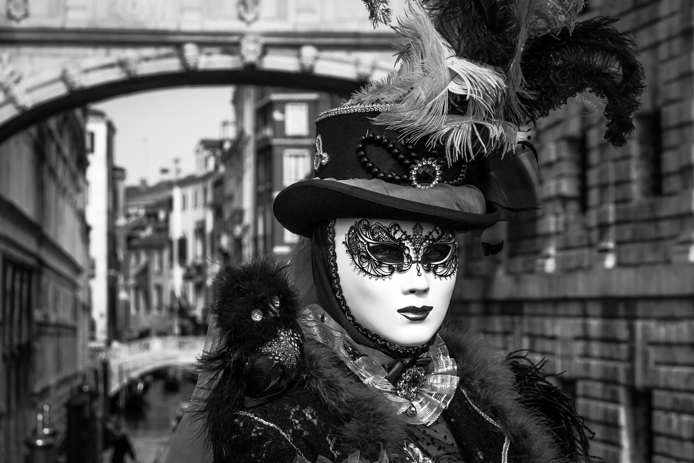 Venice Carnival