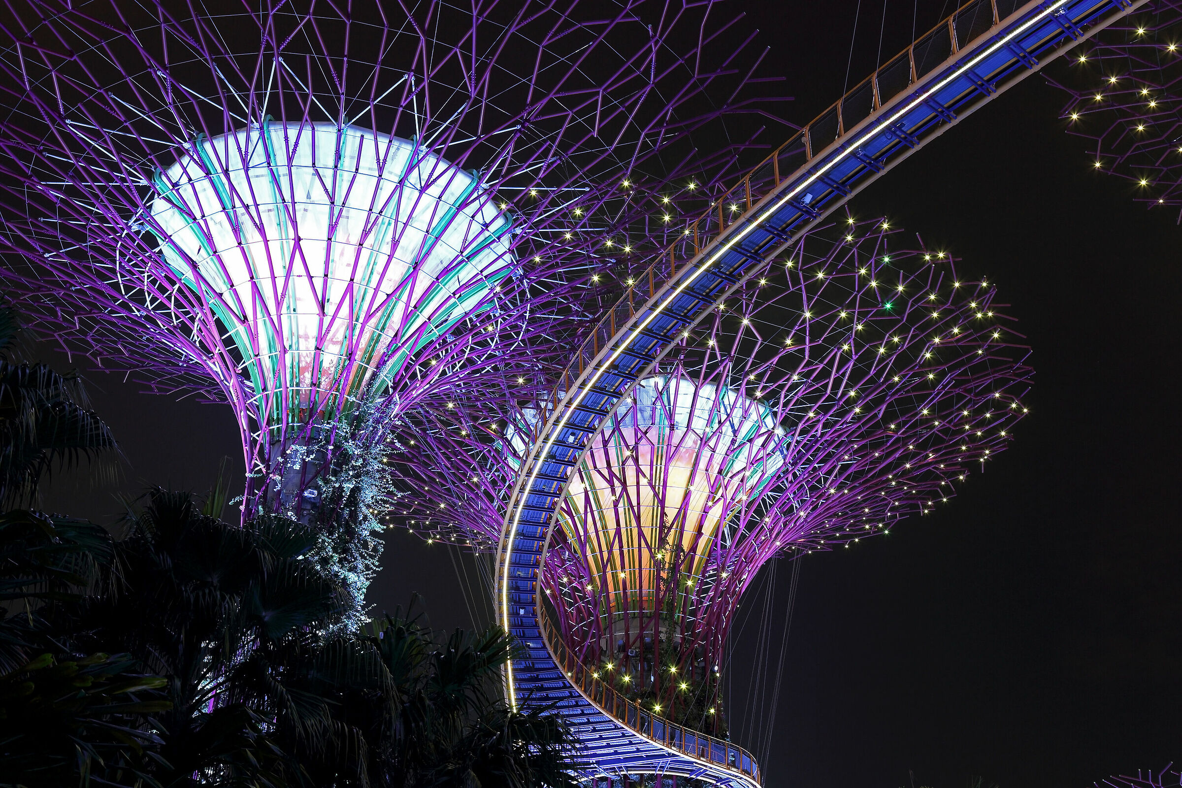 Stelline tra gli alberi artificiali