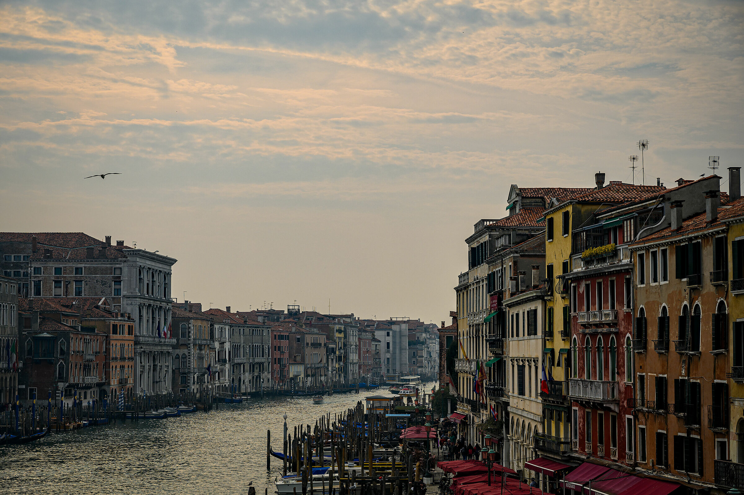Grand Canal 1