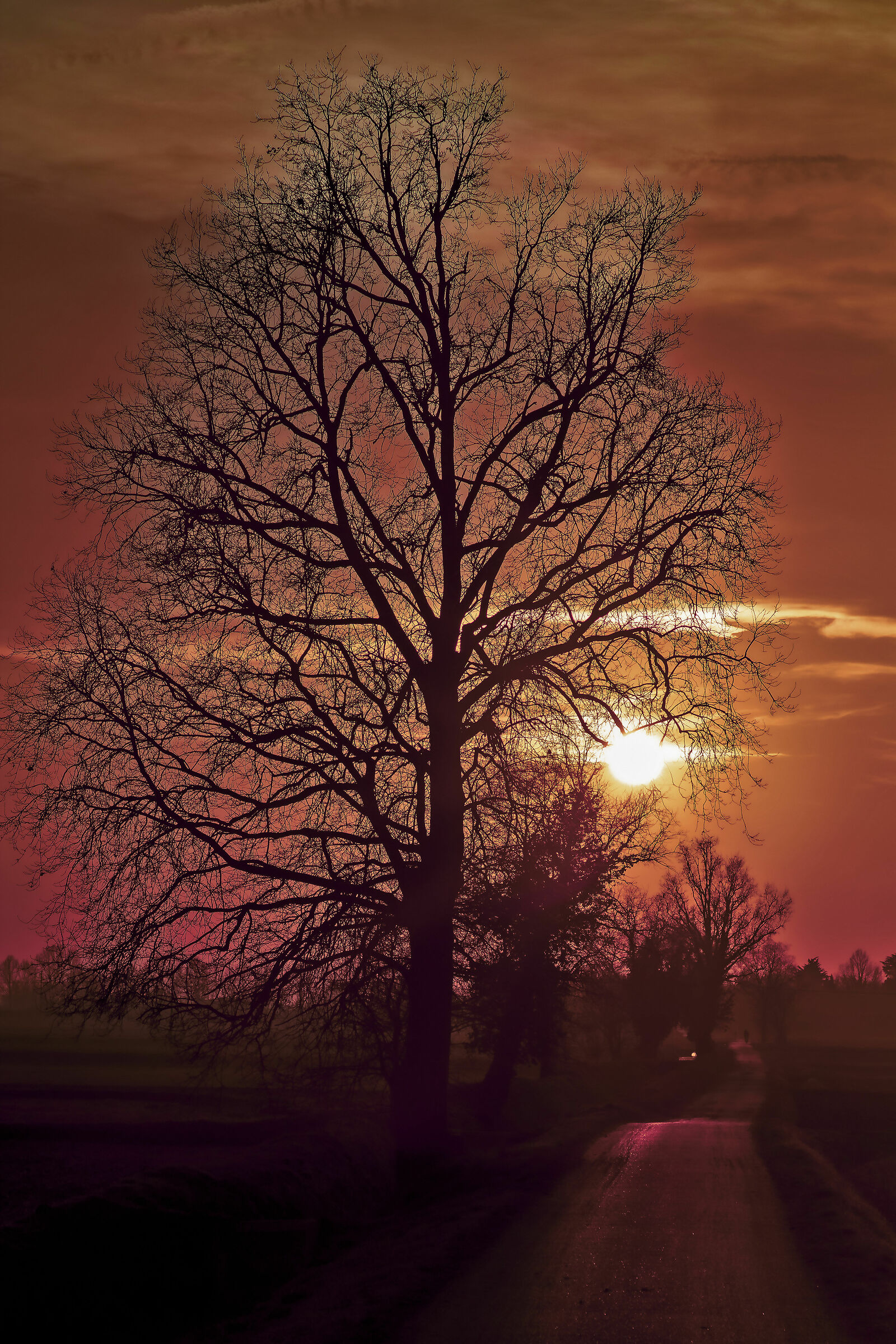 On the evening's head