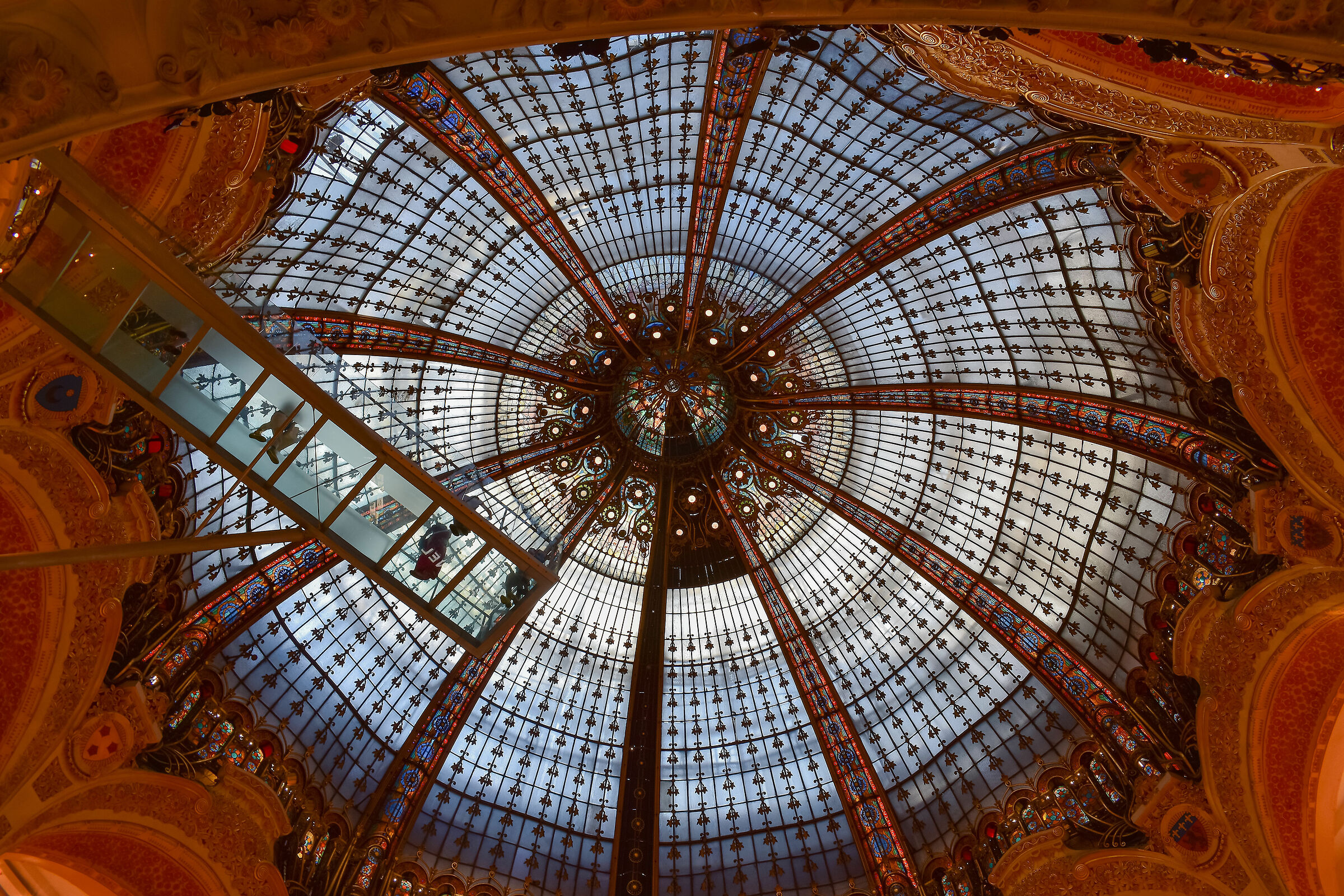 spettacolari magazzini Lafayette