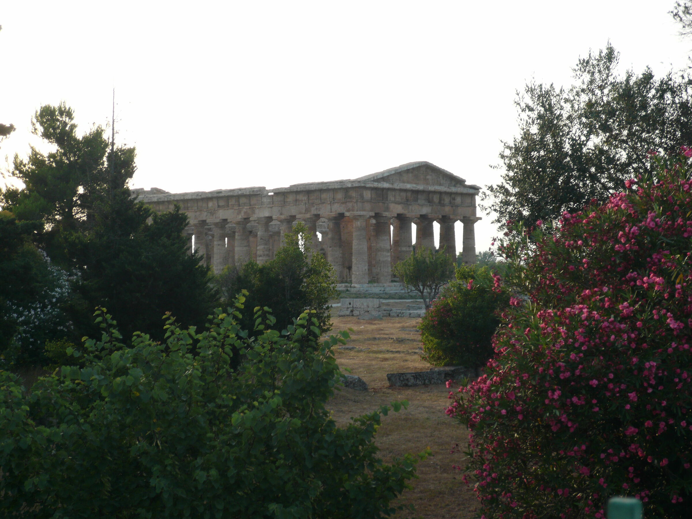Paestum - Tempio di Nettuno - V secolo a.C.