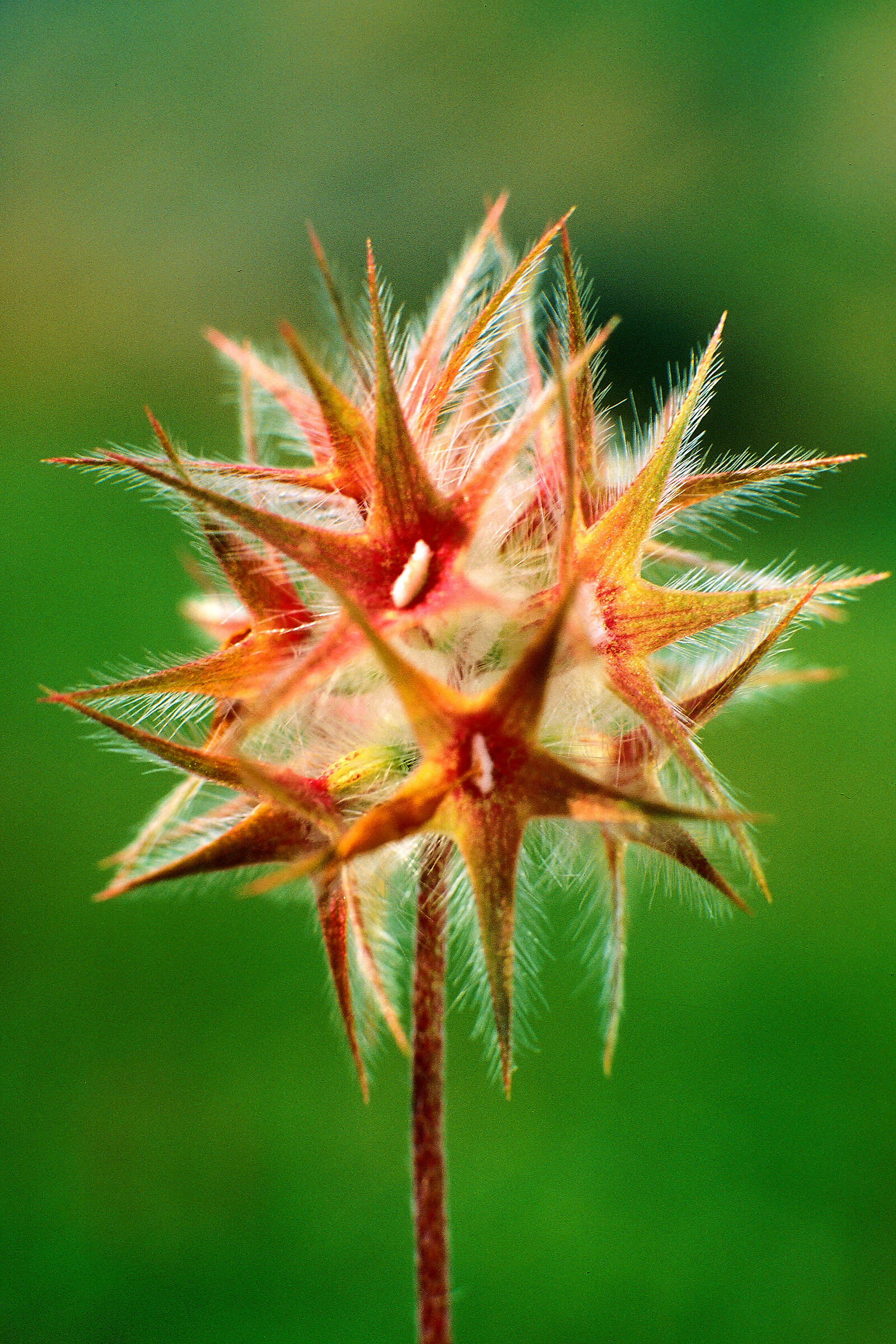 Nella valle dei Sicani