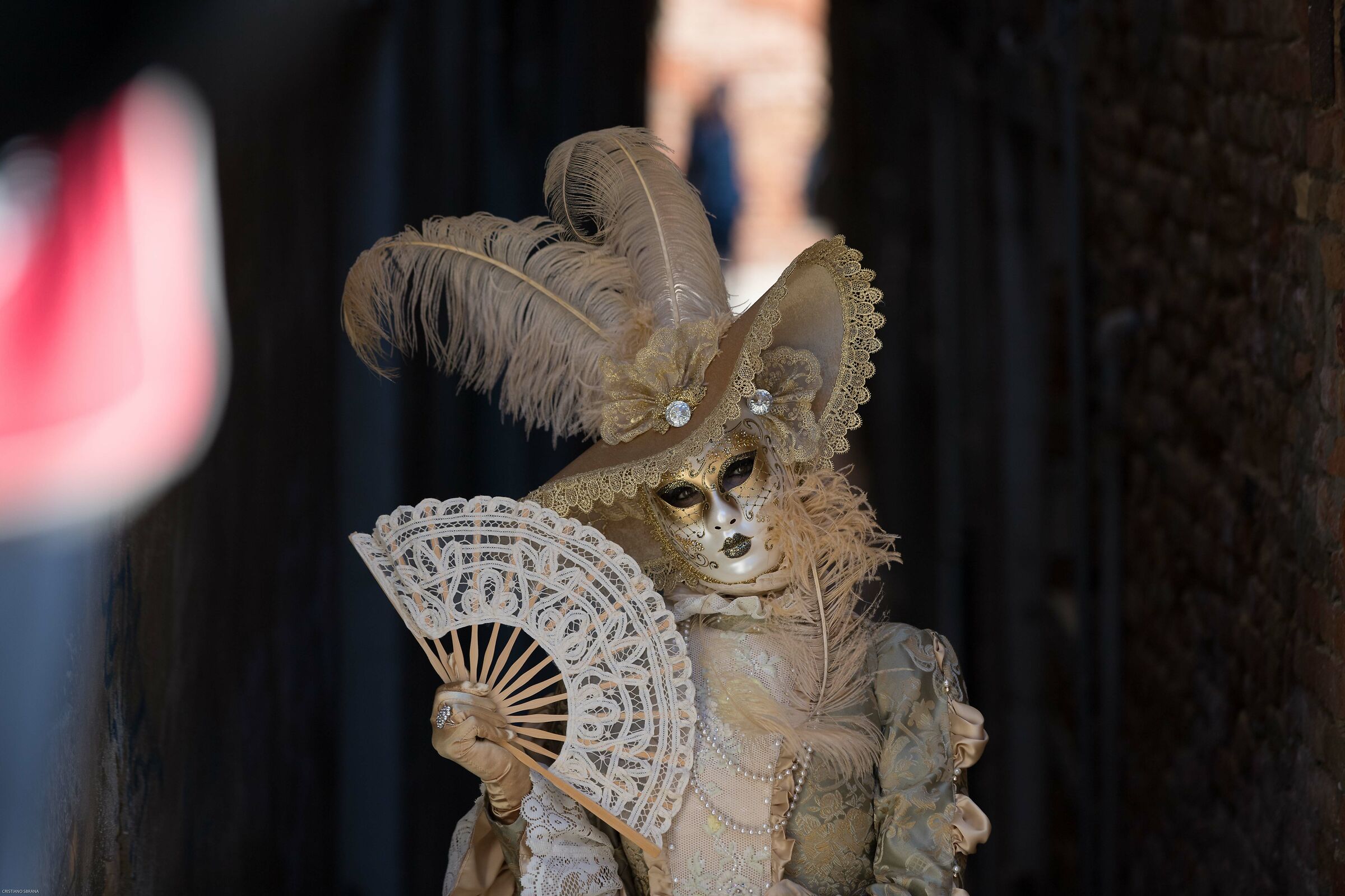 Carnevale di Venezia