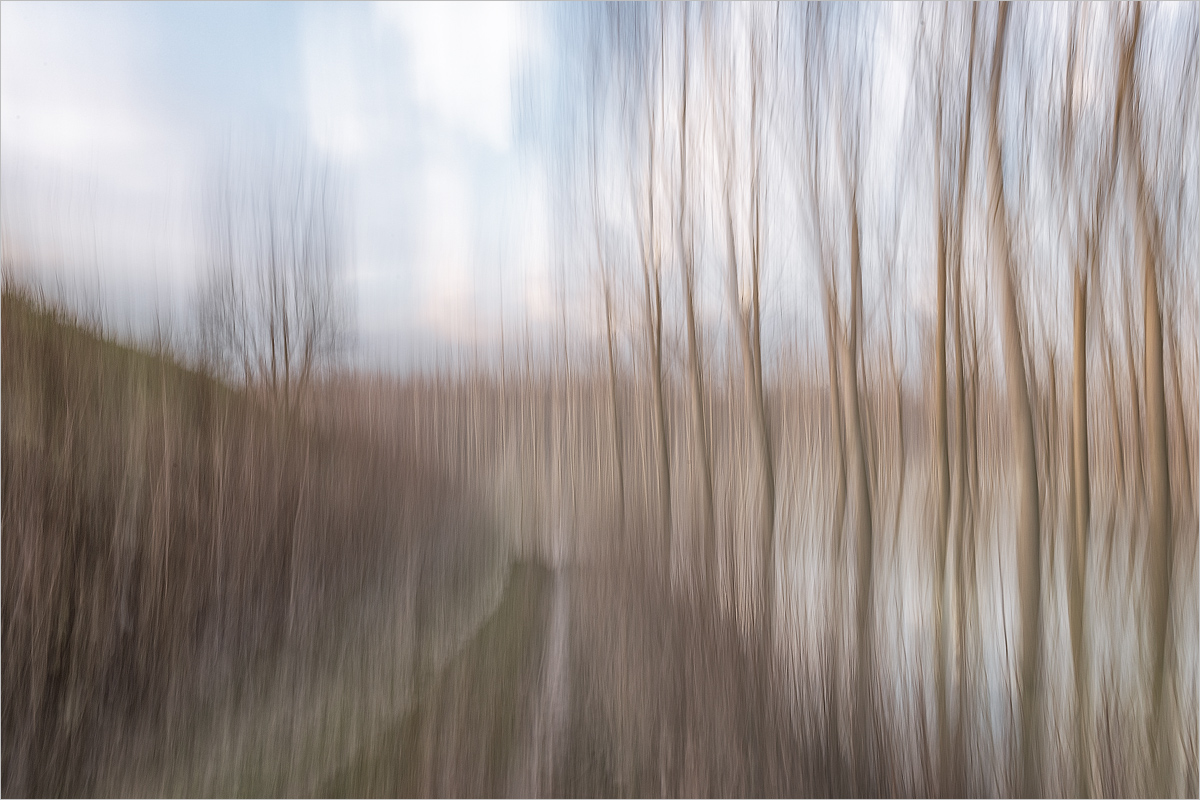 Inside the Floodplain