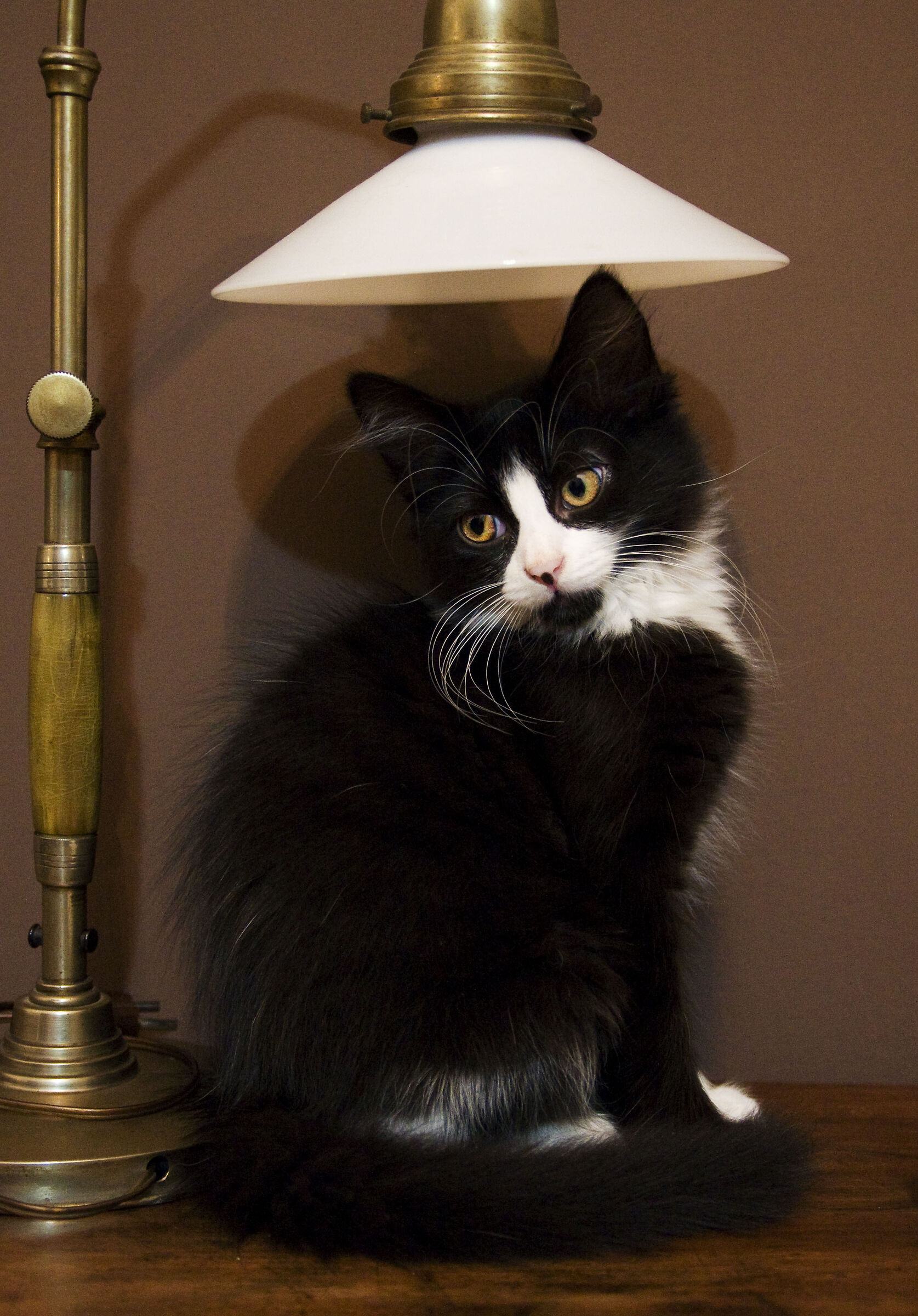 .... I make myself a lamp that I bite for the summer!