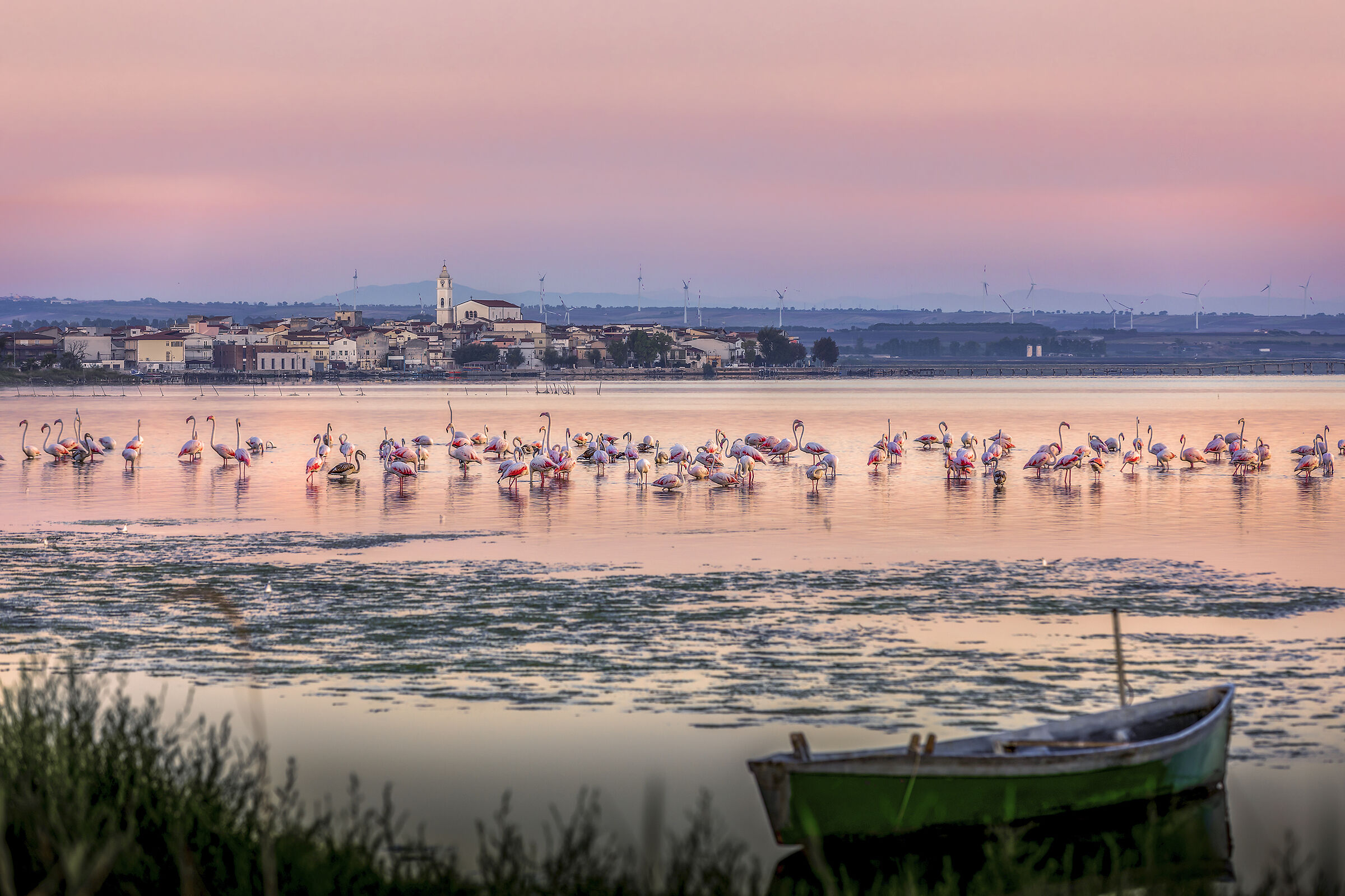All'alba - Lago di Lesina