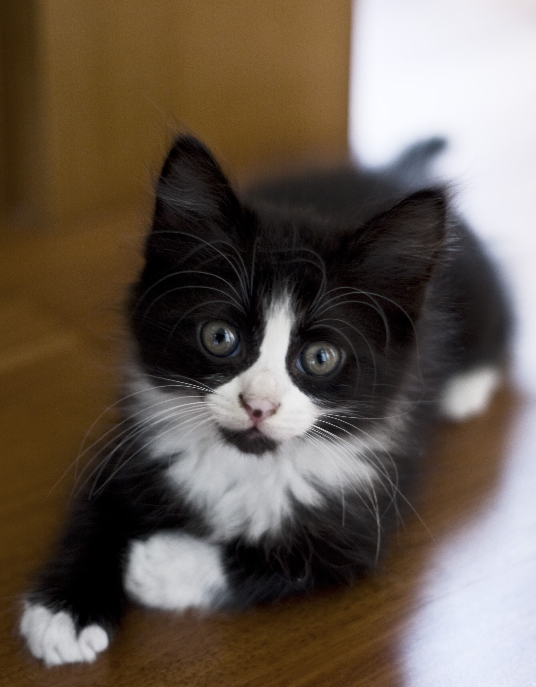 .... calm before the storm!