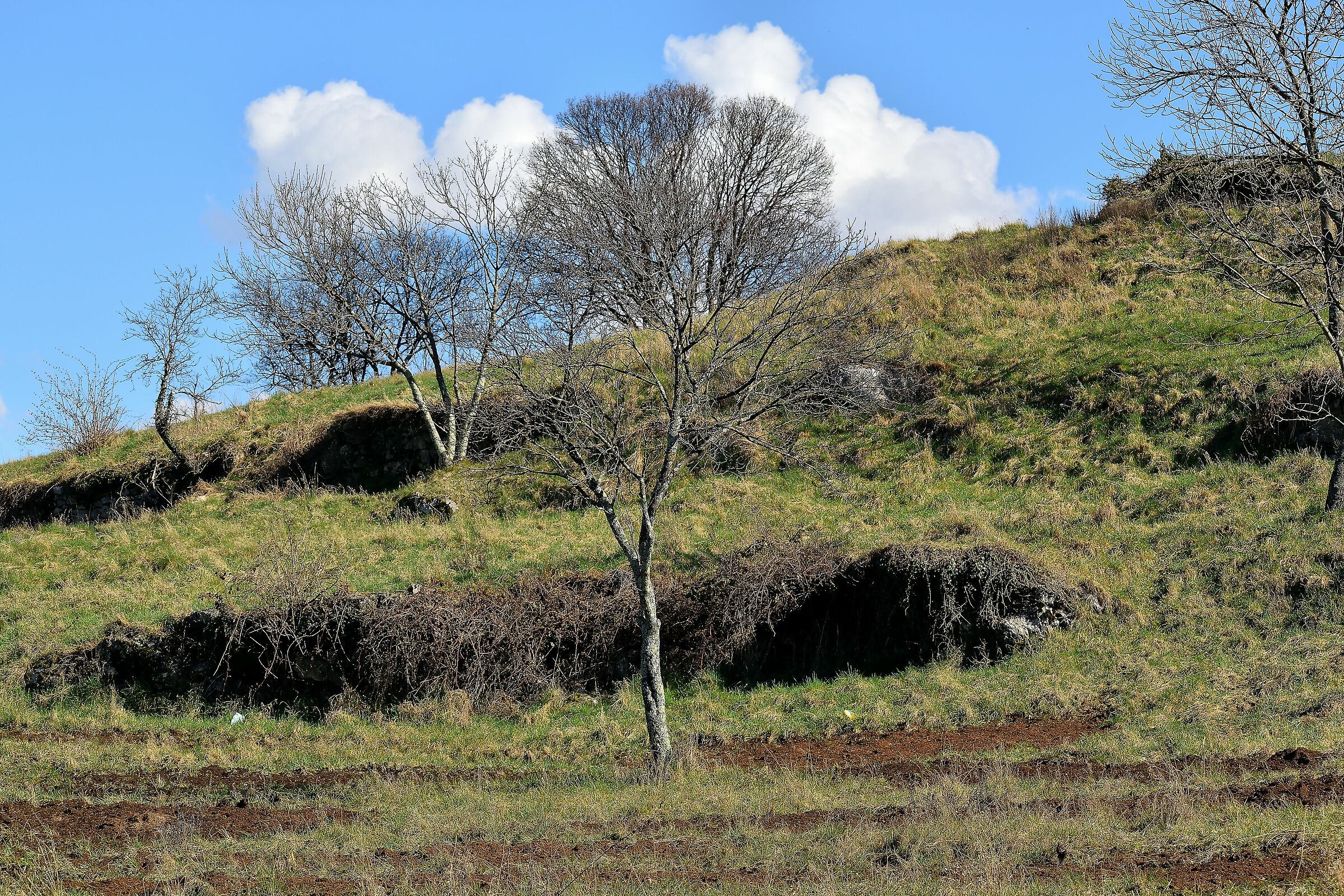 Lipica a fine febbraio