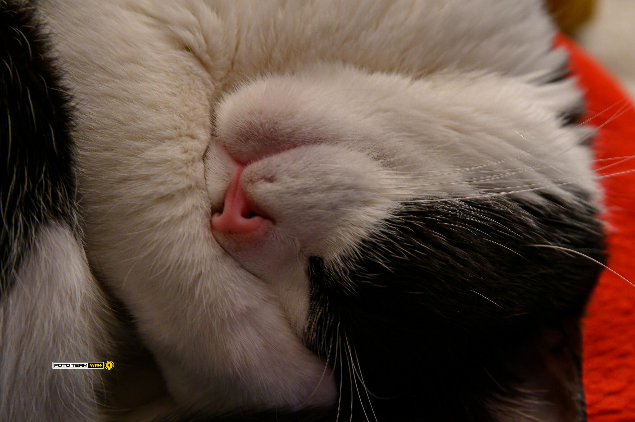 Zzzzzzzzz.......................