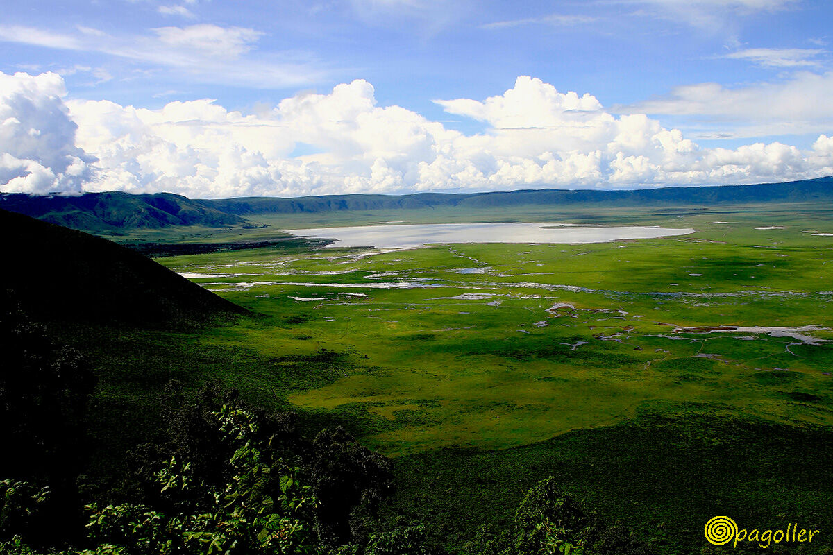 Cratere Ngorongoro