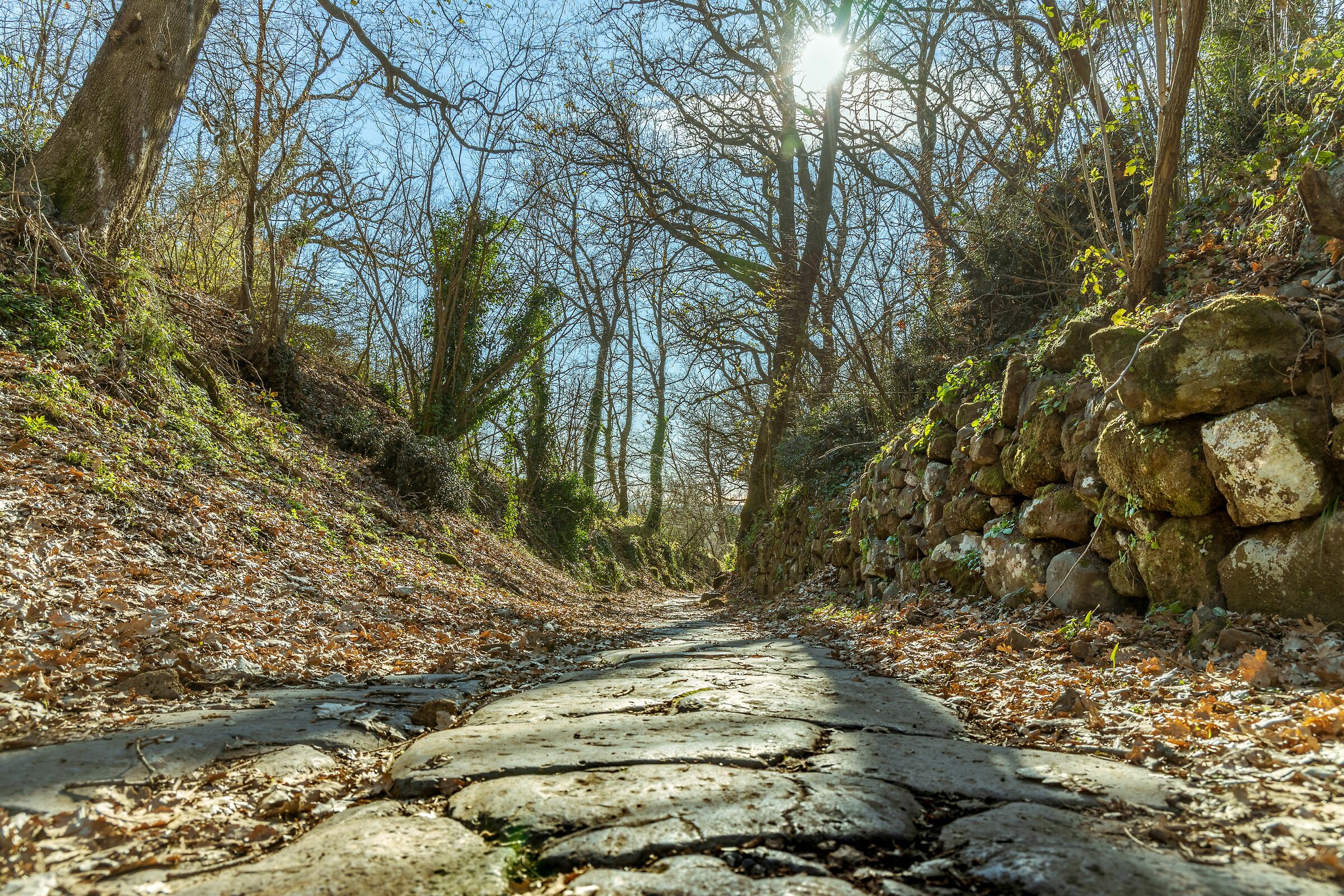Passeggiata al Tuscolo