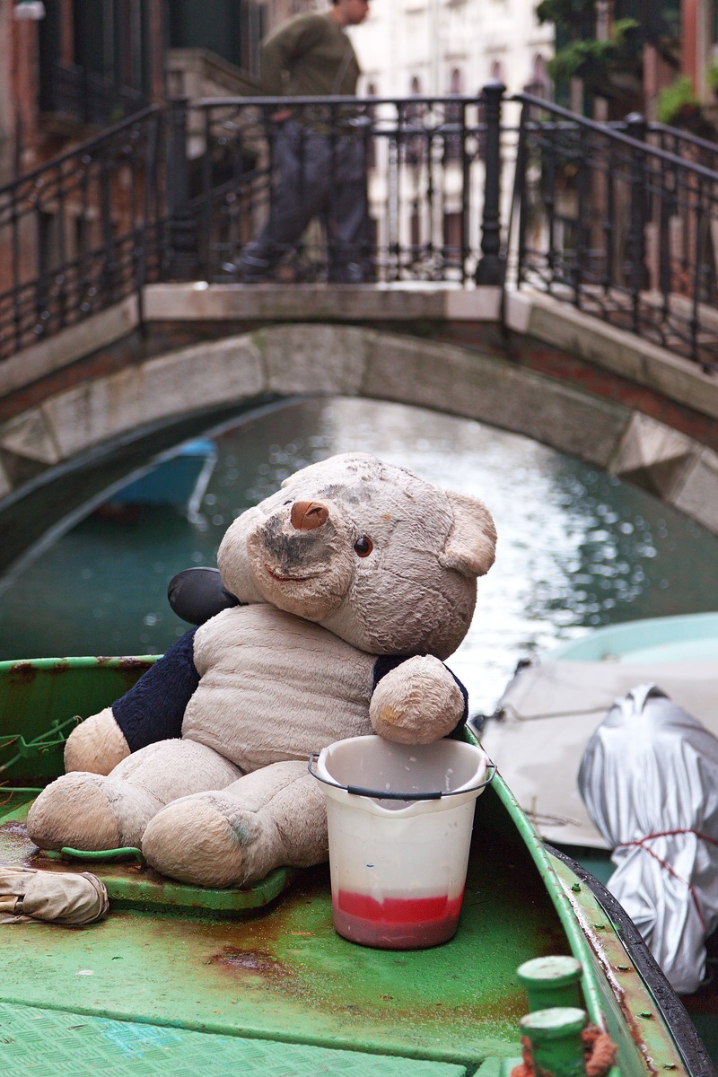 Bear in boat