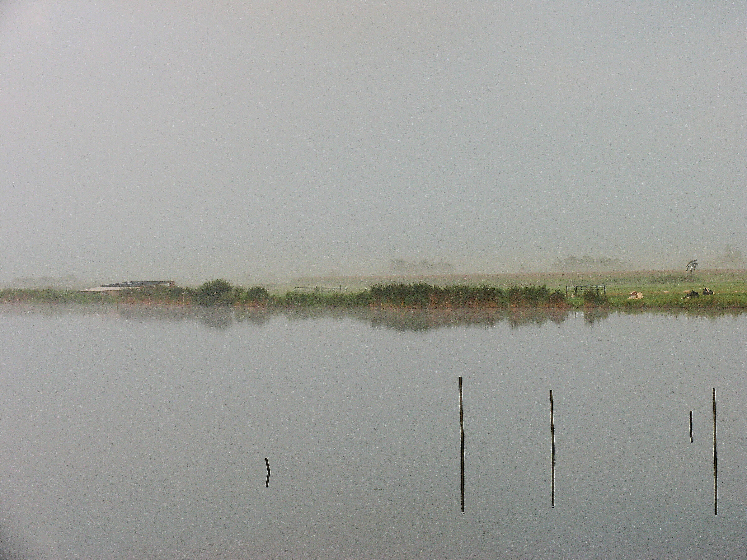 Netherlands: Between Marken and Amsterdam