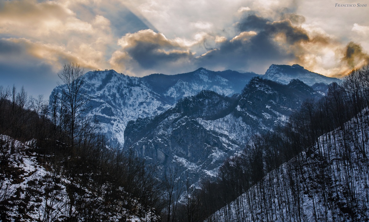 The colors of winter