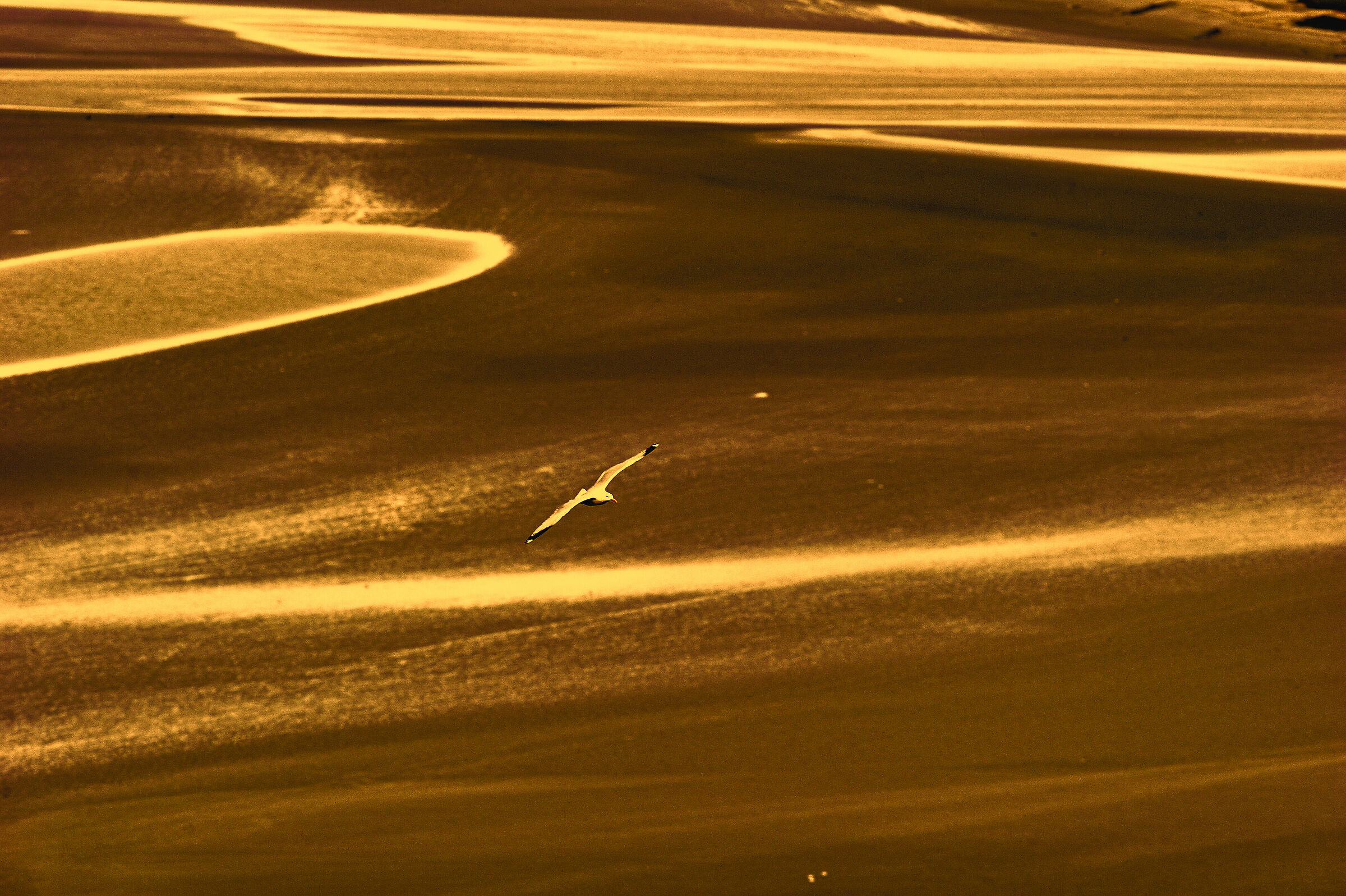 the bay of mont s michel