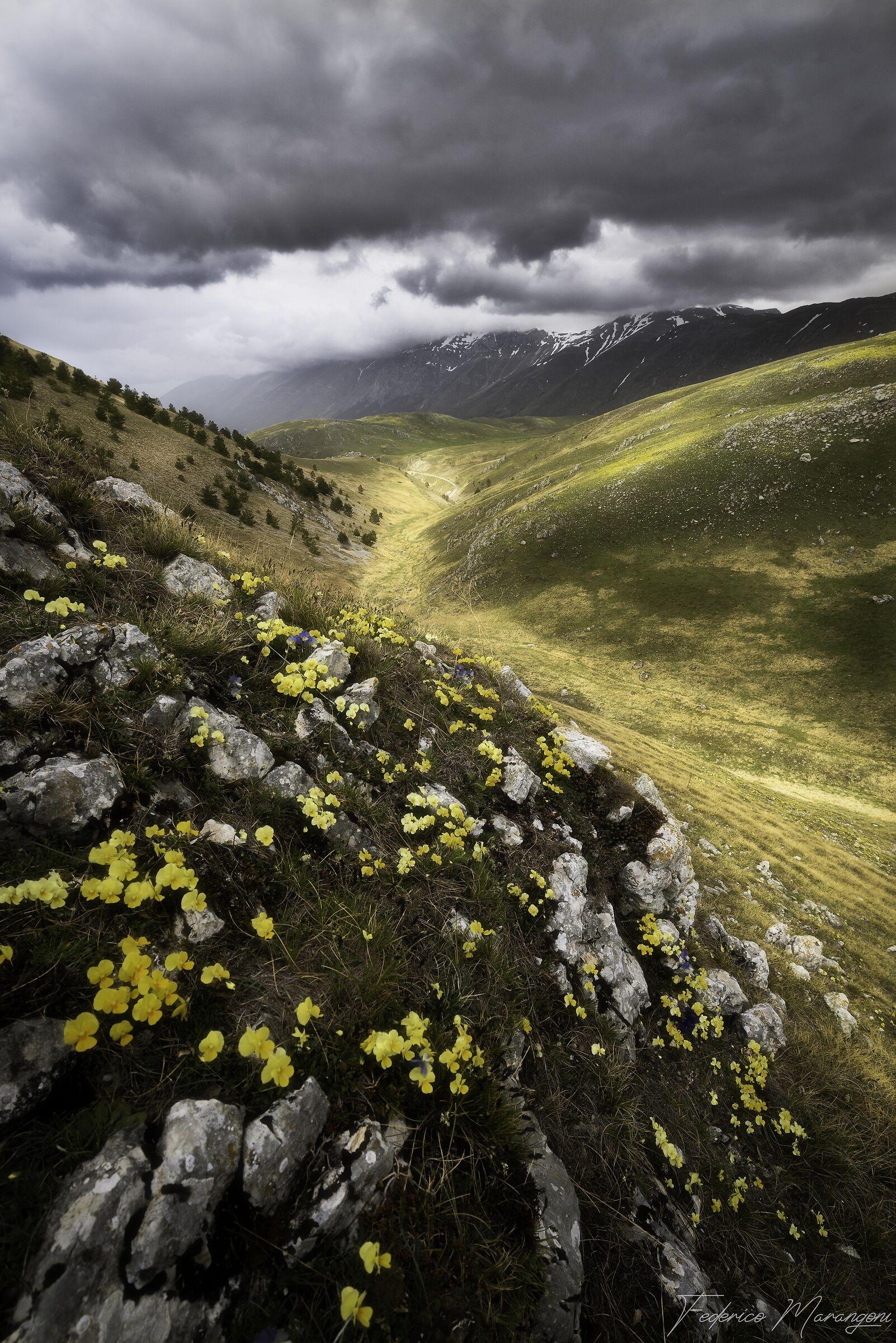 Primavera Nel Gran Sasso