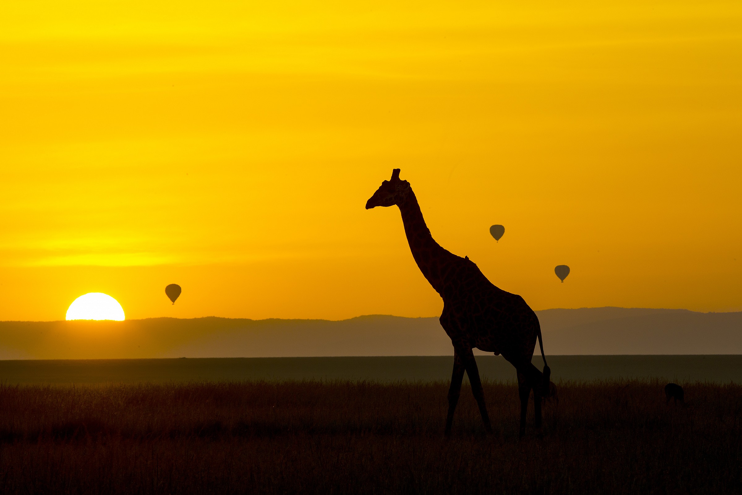 Bucolica ma d'effetto...