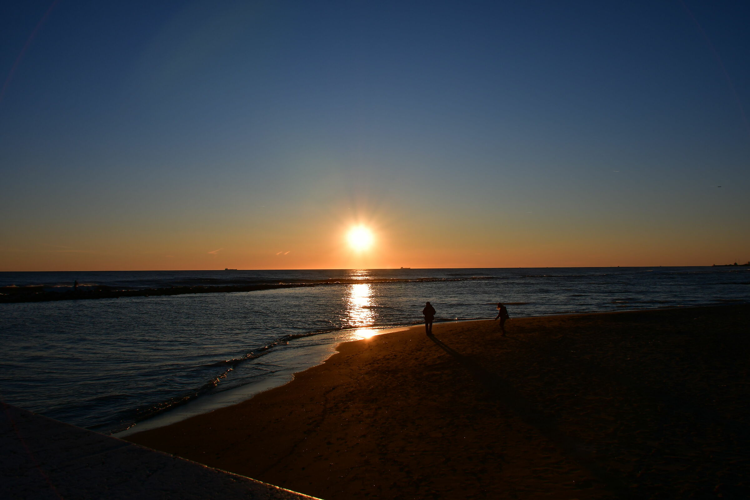 Dreaming of a better day