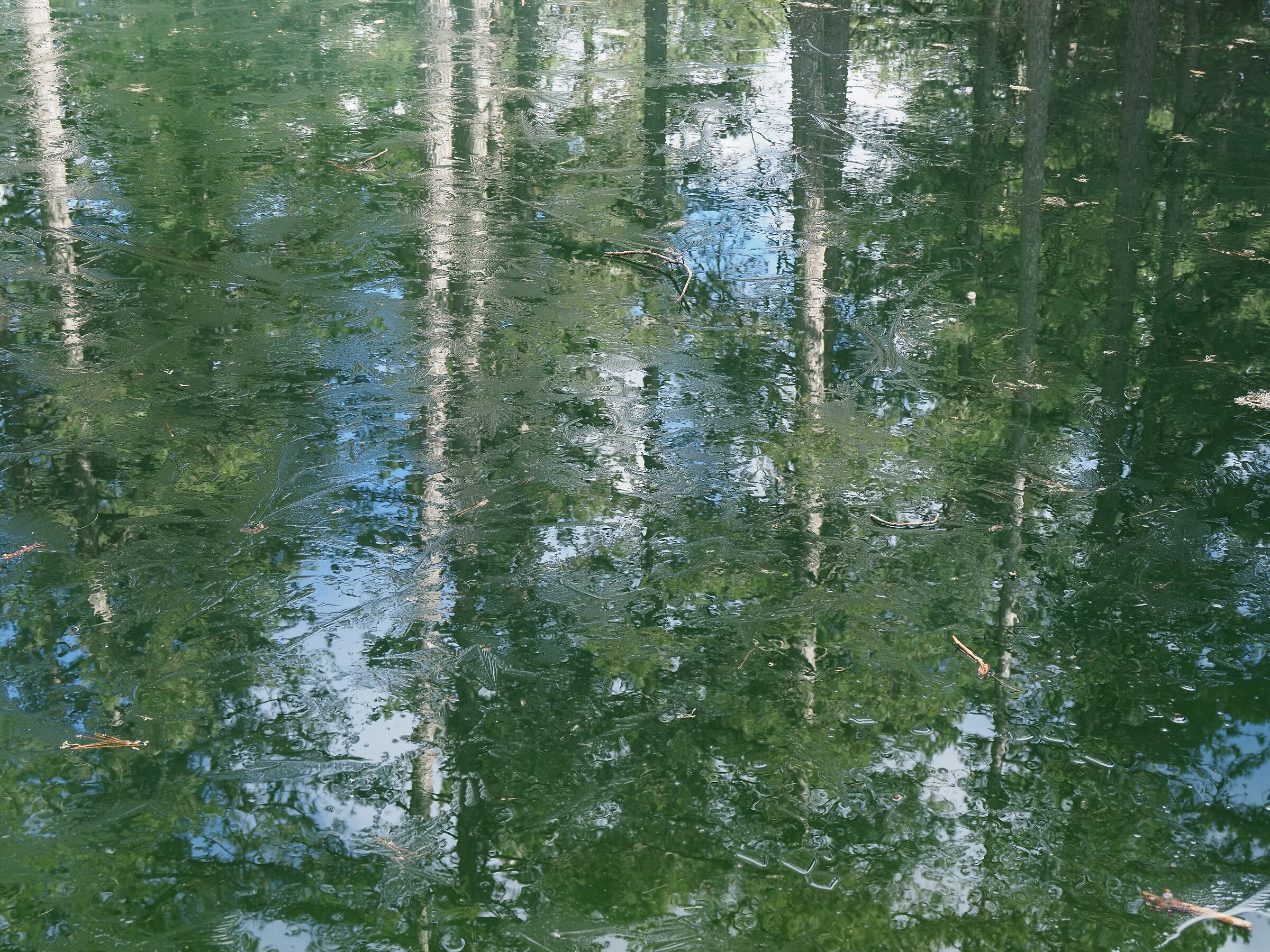 Lago ghiacciato. Impressionista