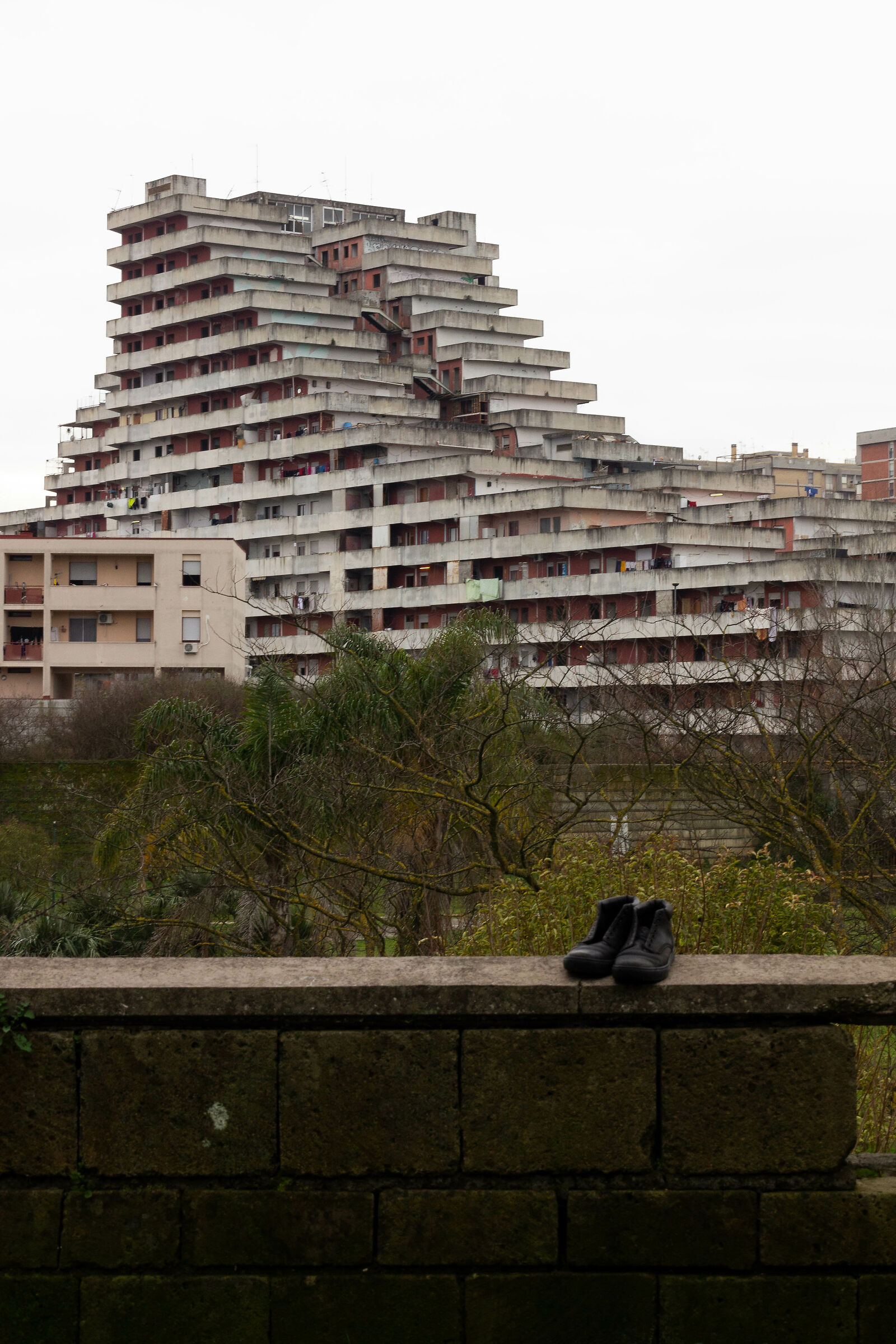 scampia
