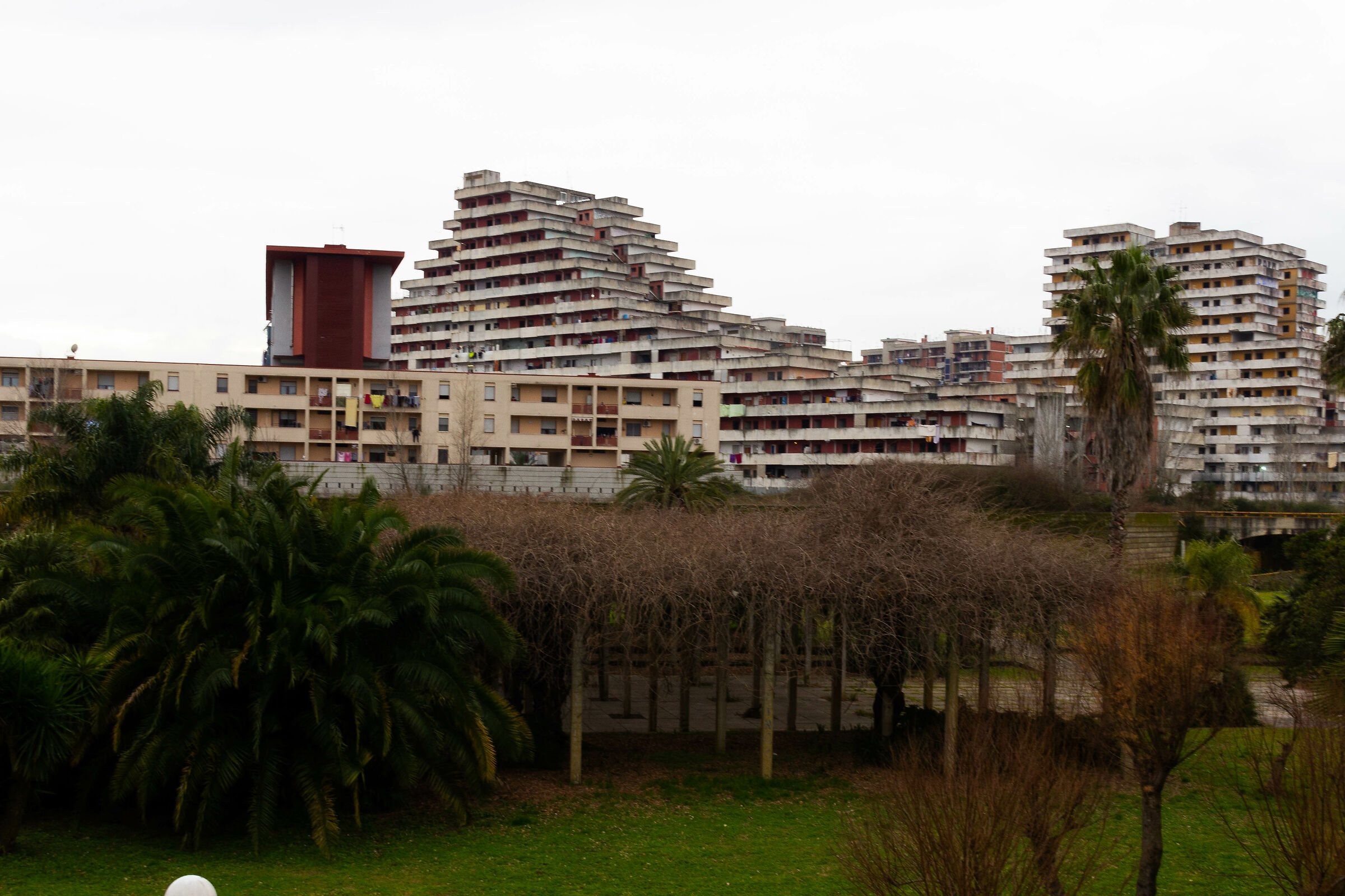 scampia