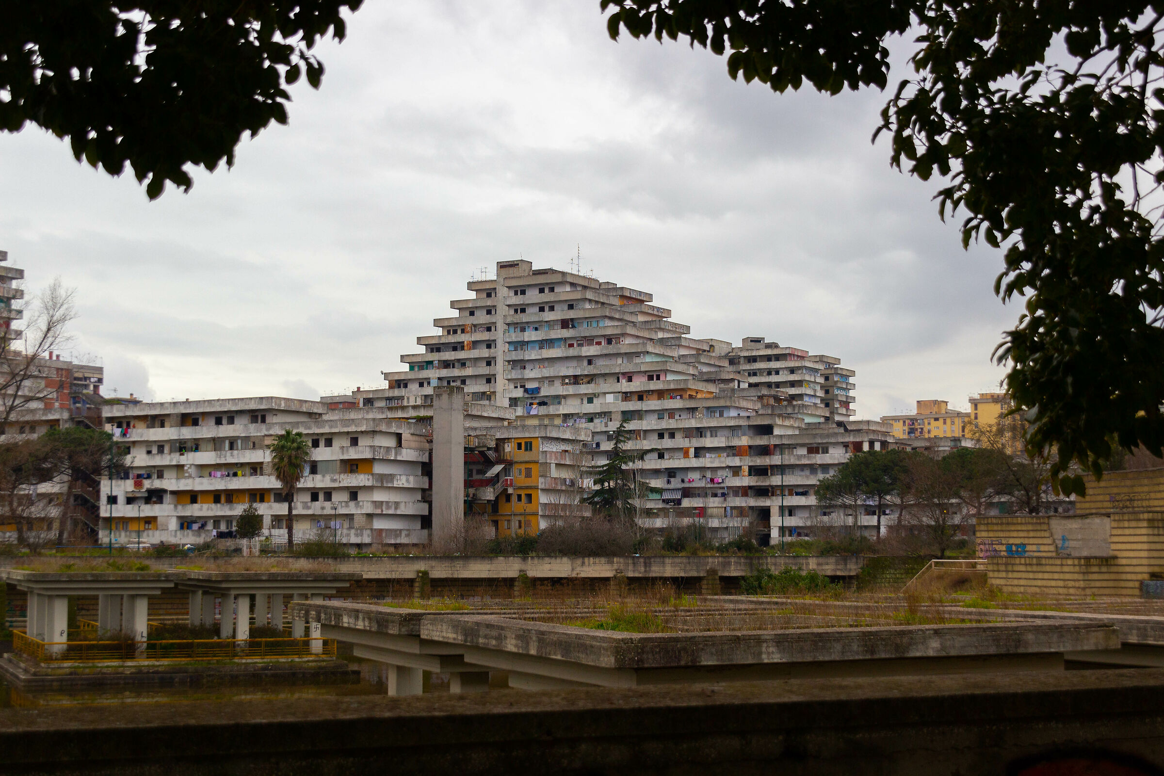 scampia