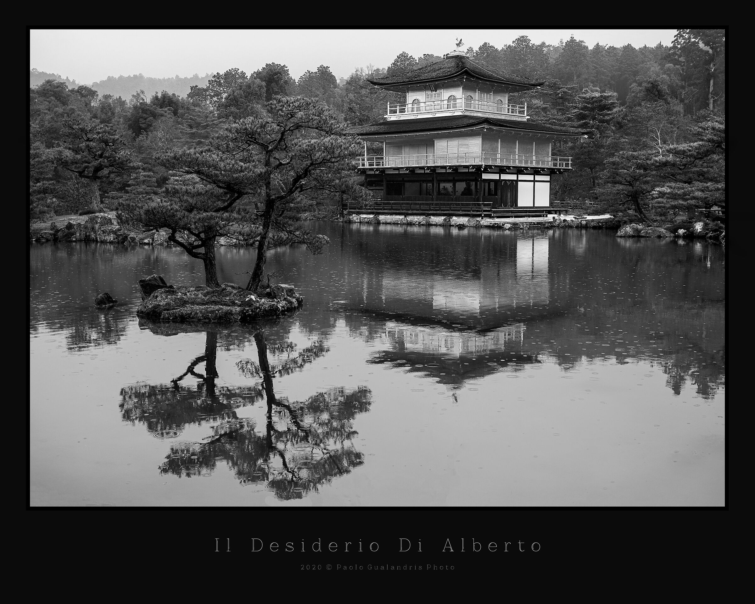 Il Desiderio Di Alberto