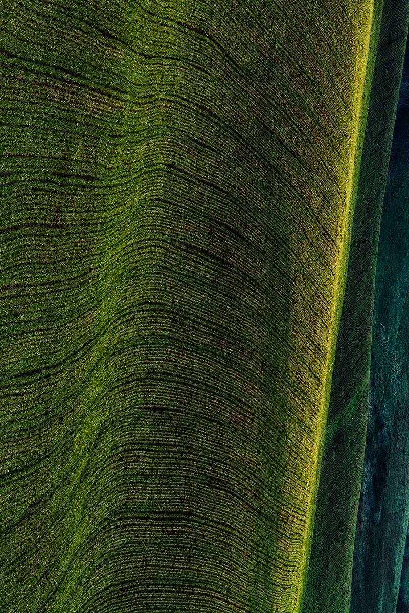 Il libro della Terra