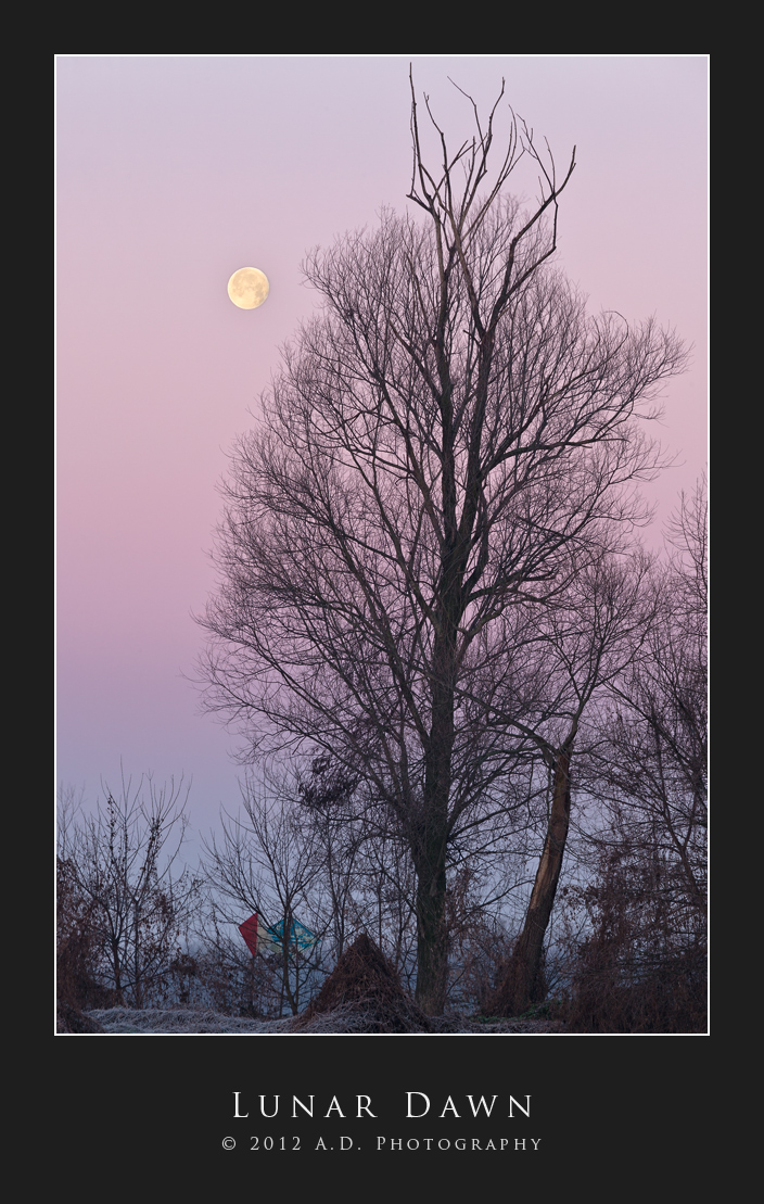 Lunar Dawn
