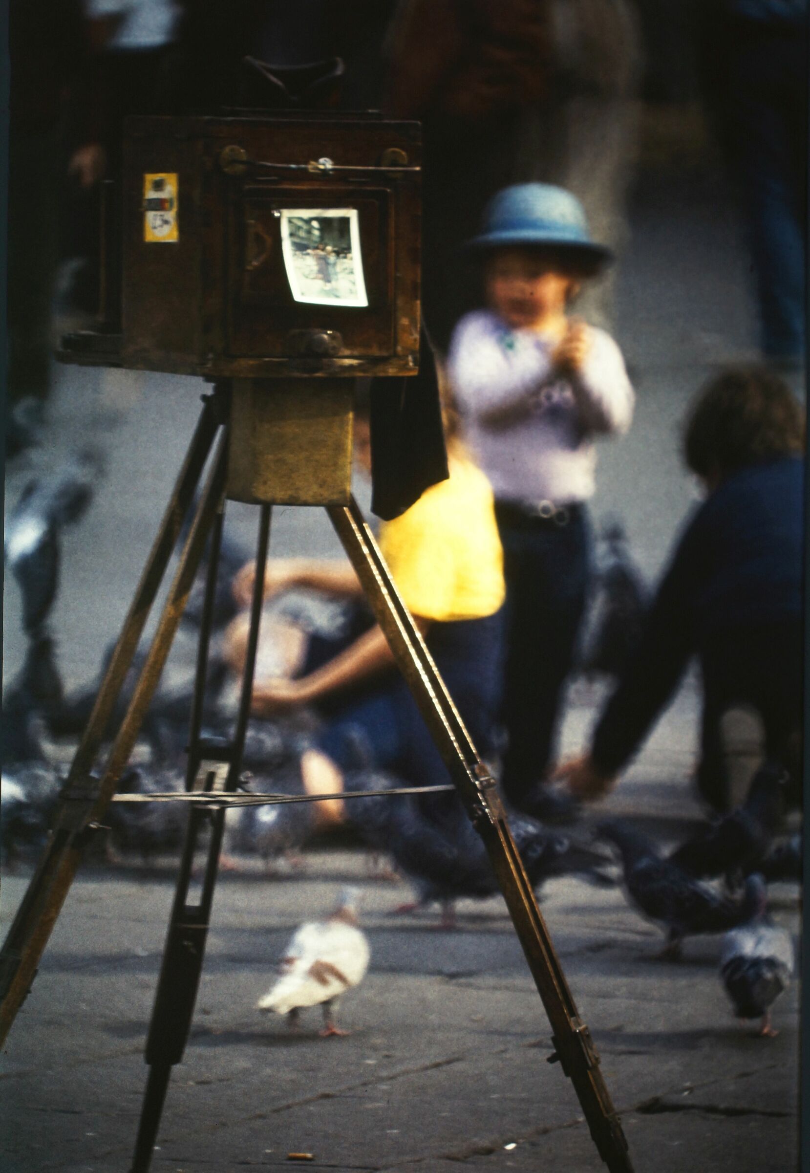 ..in piazza Signoria