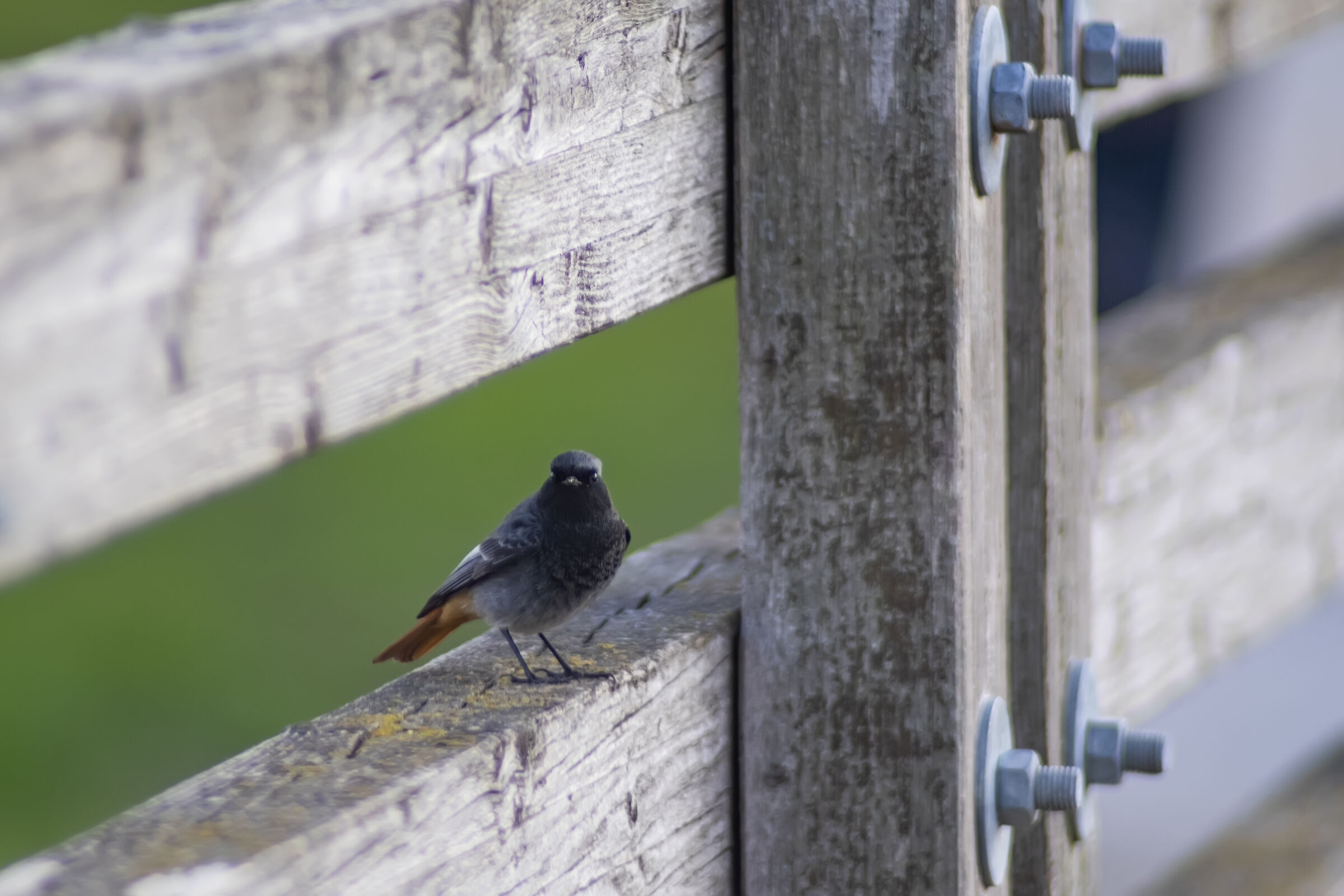 Angoletto tranquillo...