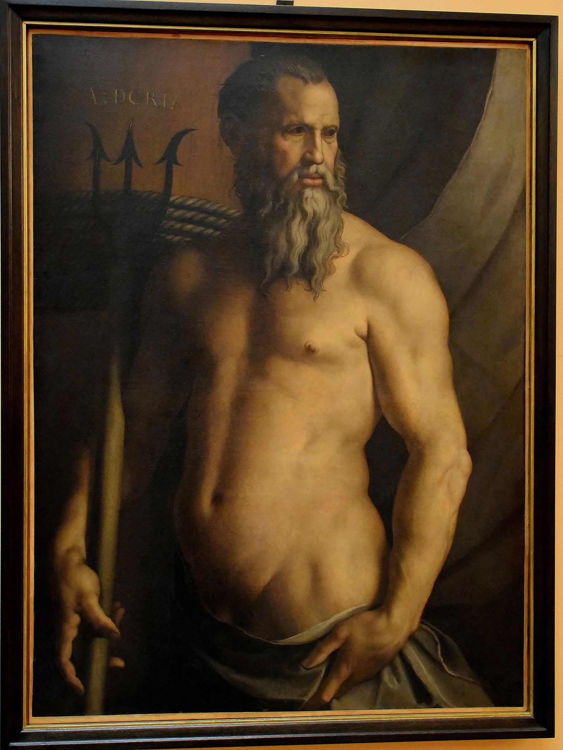 Pinacoteca di Brera-Bronzino Andrea Doria come Nettuno