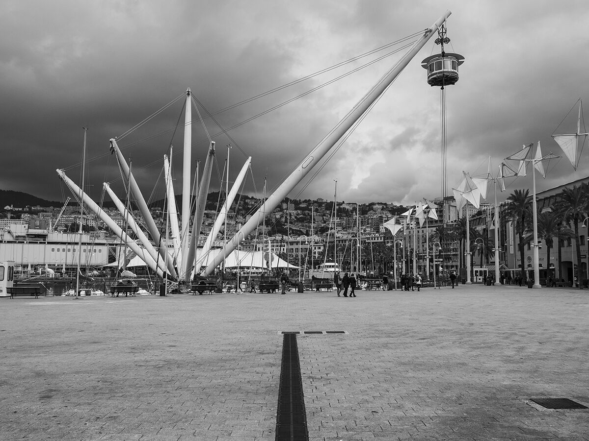 Untitled Photo