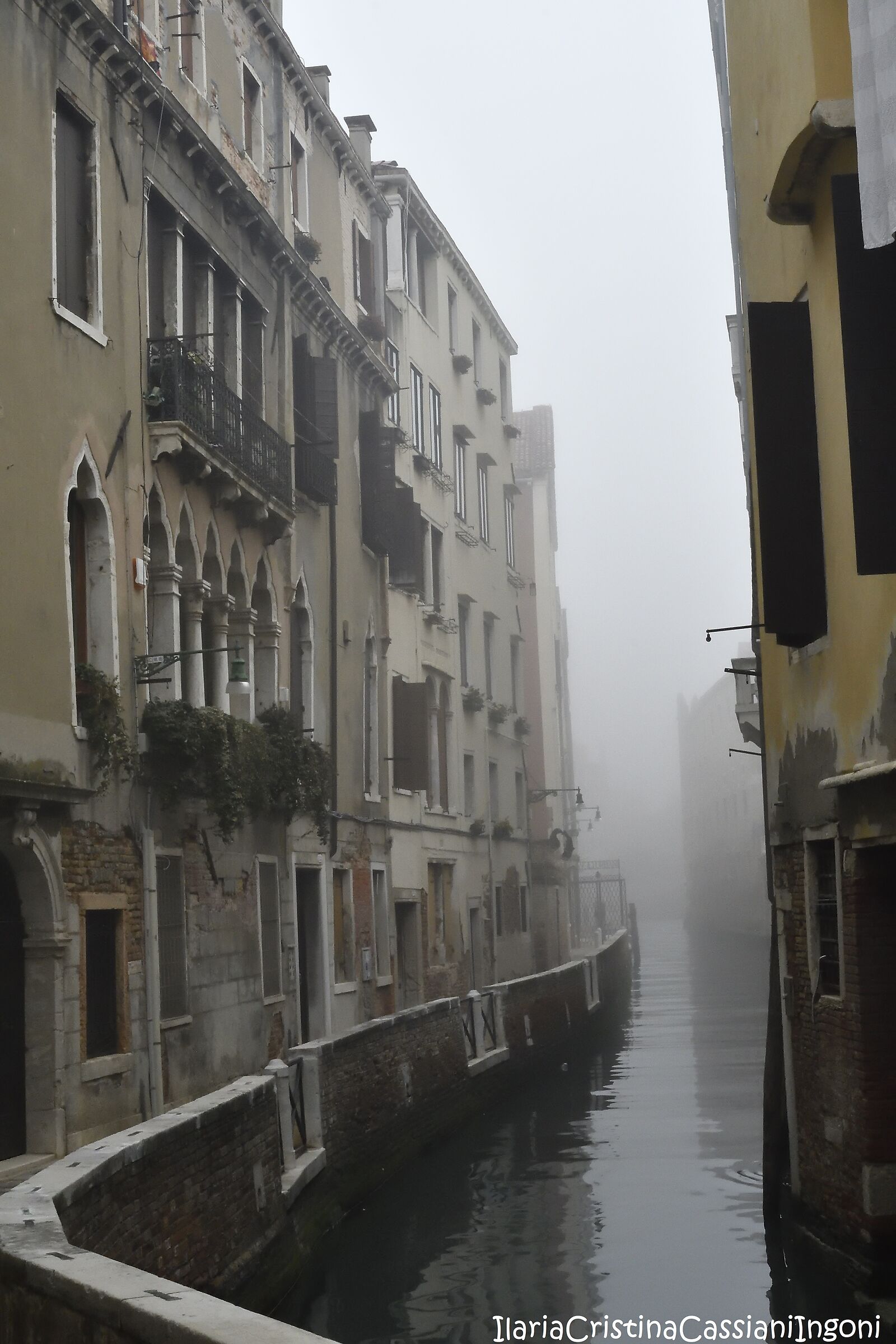 Fog in Venice