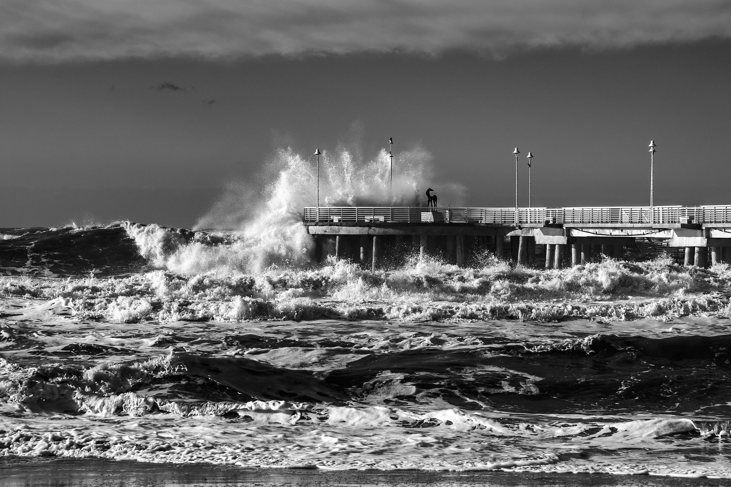 The Fury of the Sea (black and white)