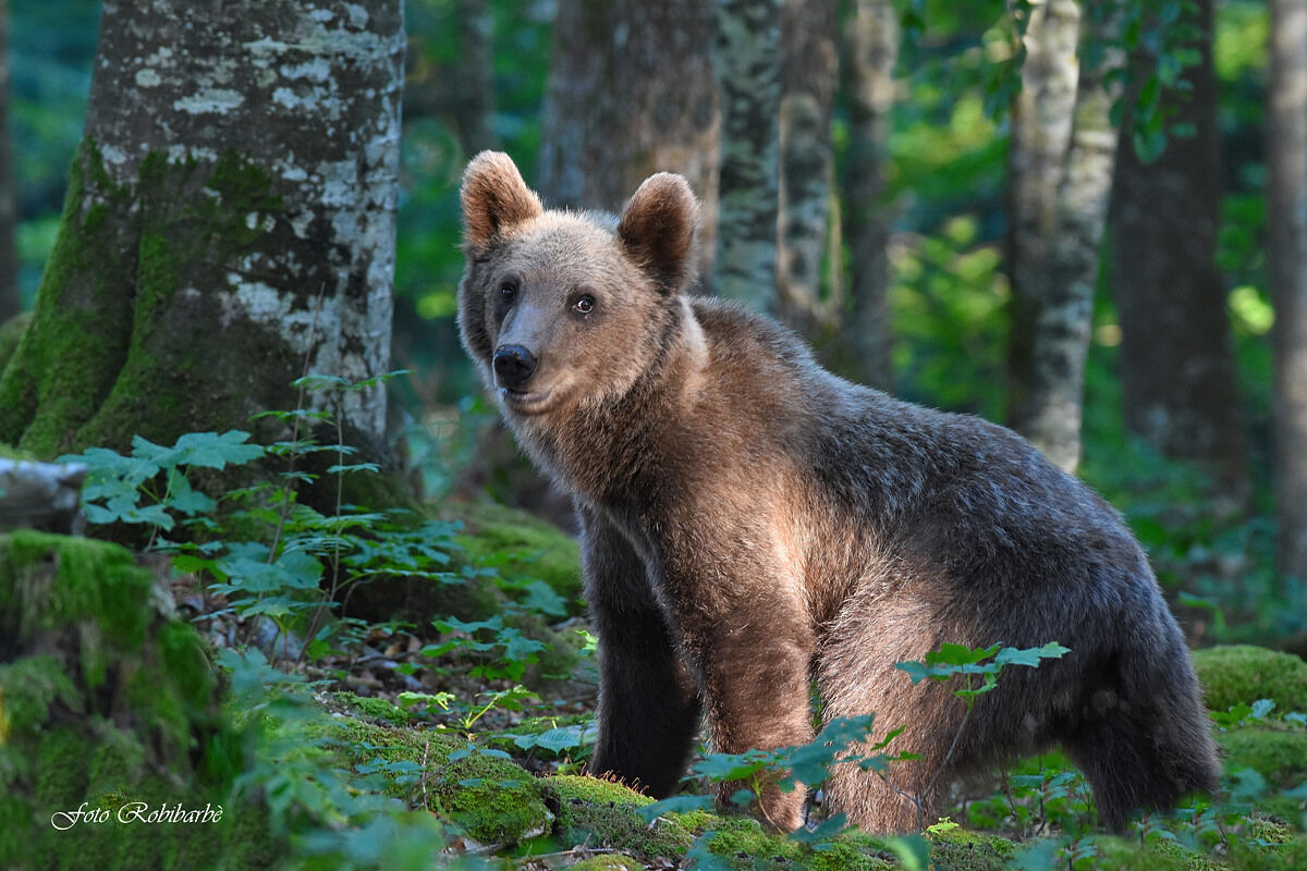 Lights and shadows...